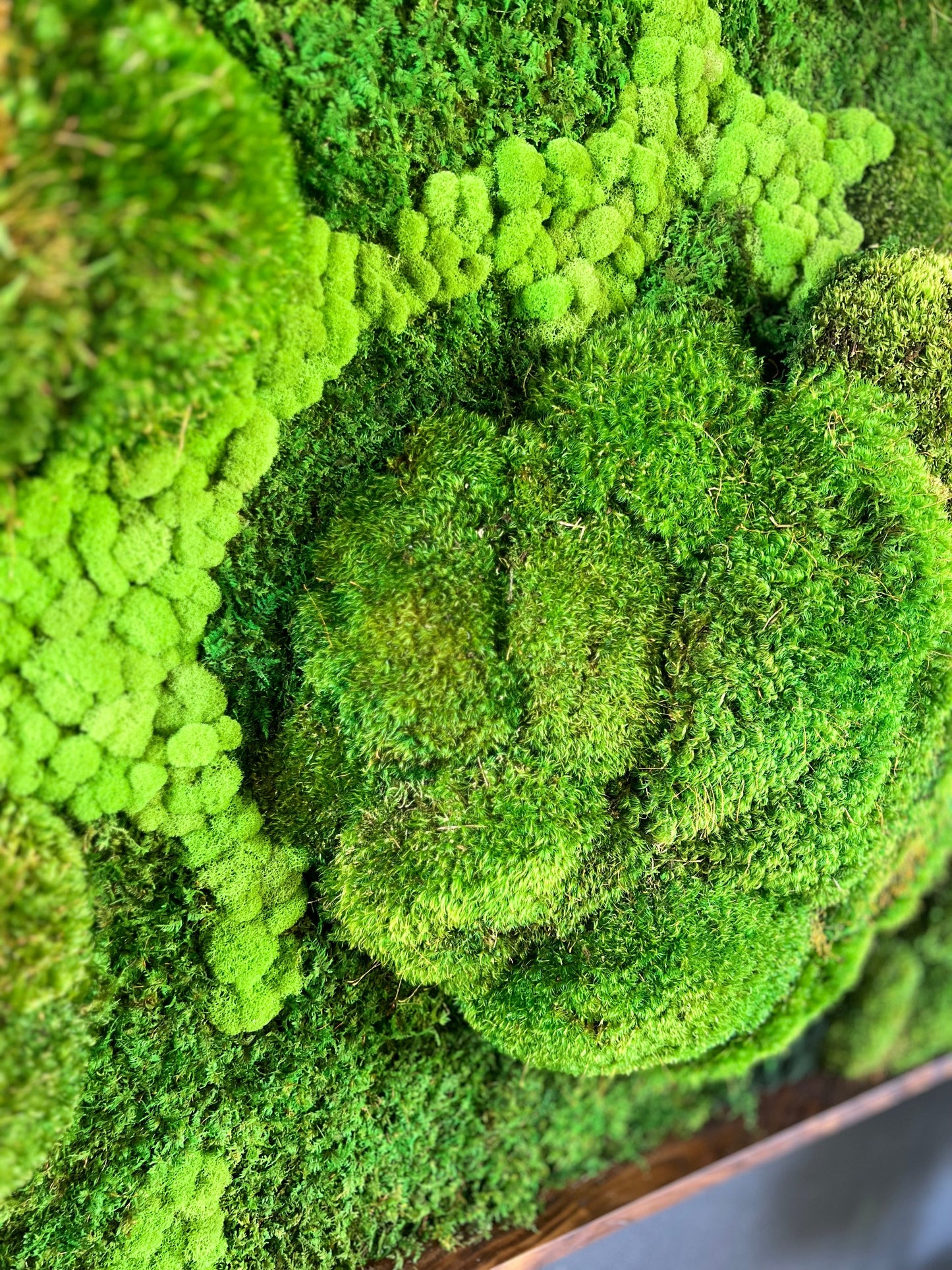 Majestic Moss Boulders