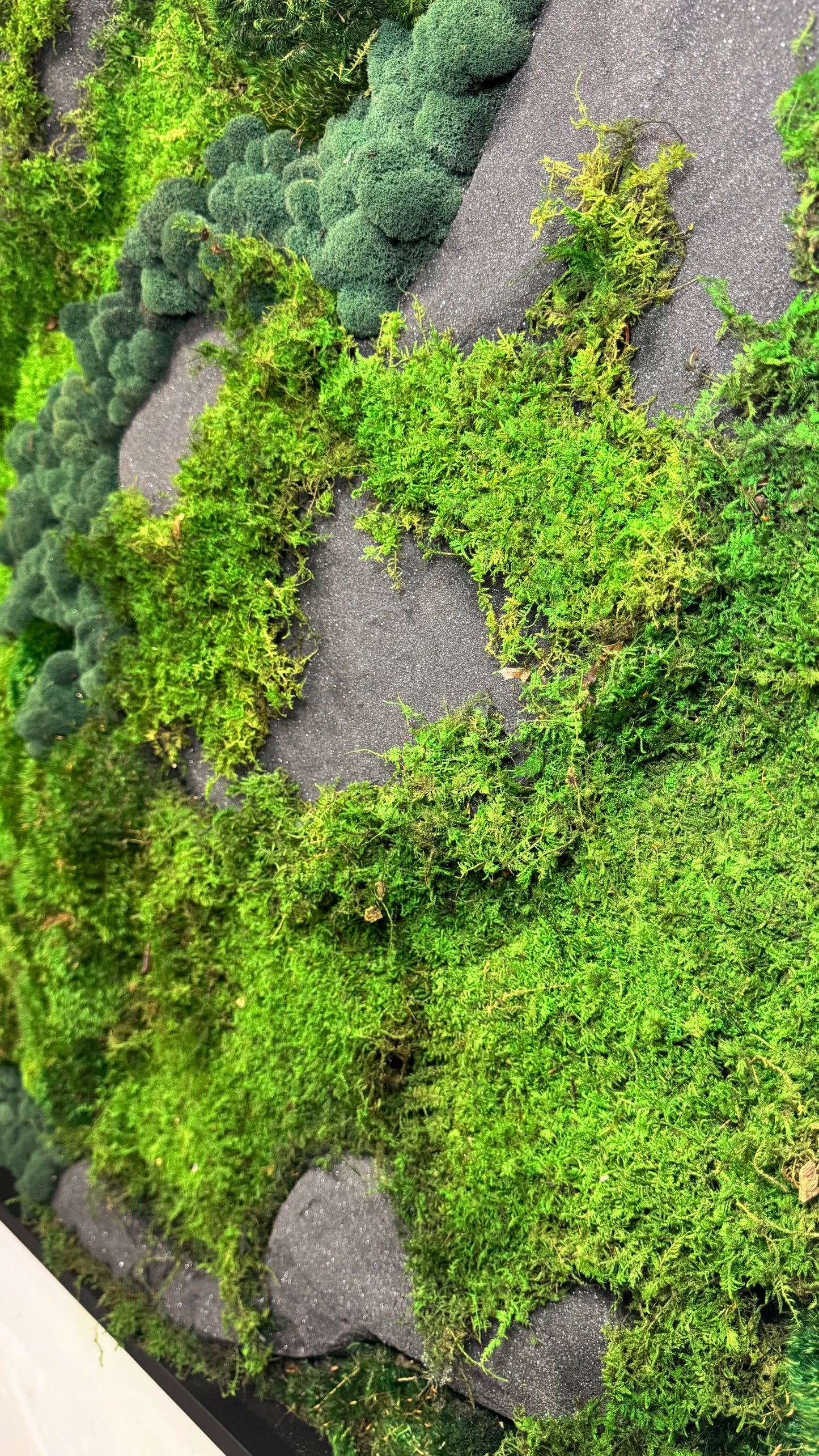 The Black Onyx Forest