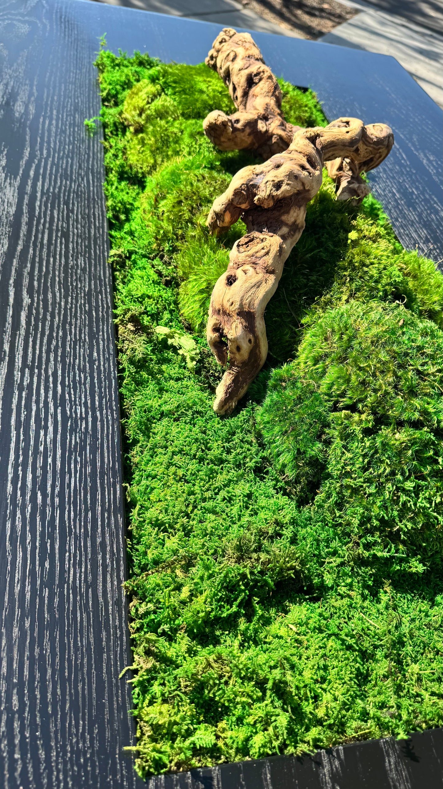 Isla Coffee Table