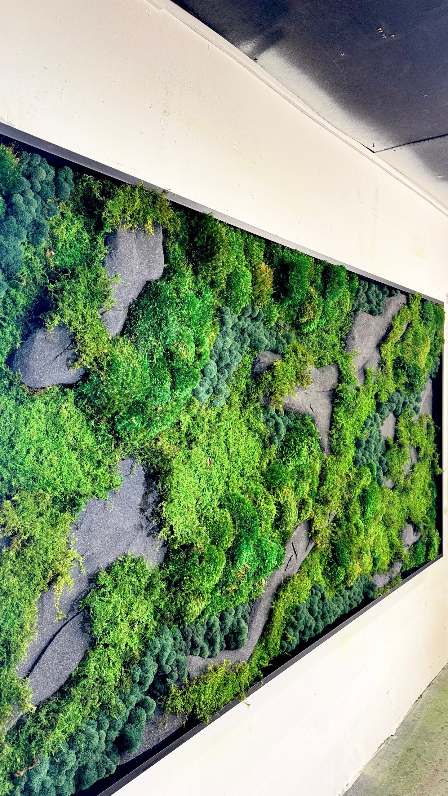 The Black Onyx Forest