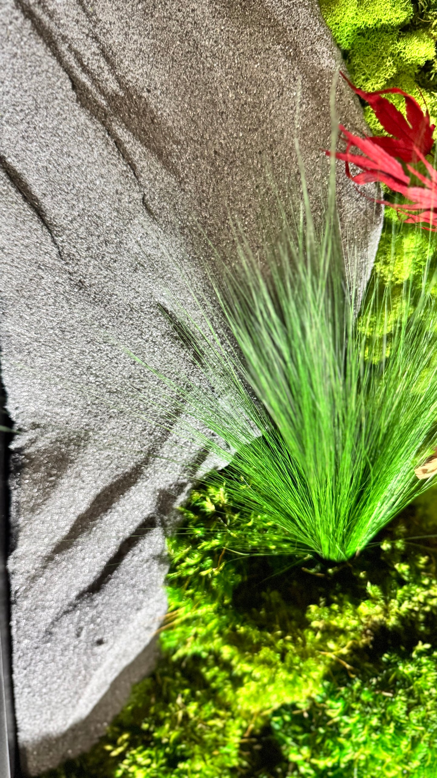 The Zen Garden