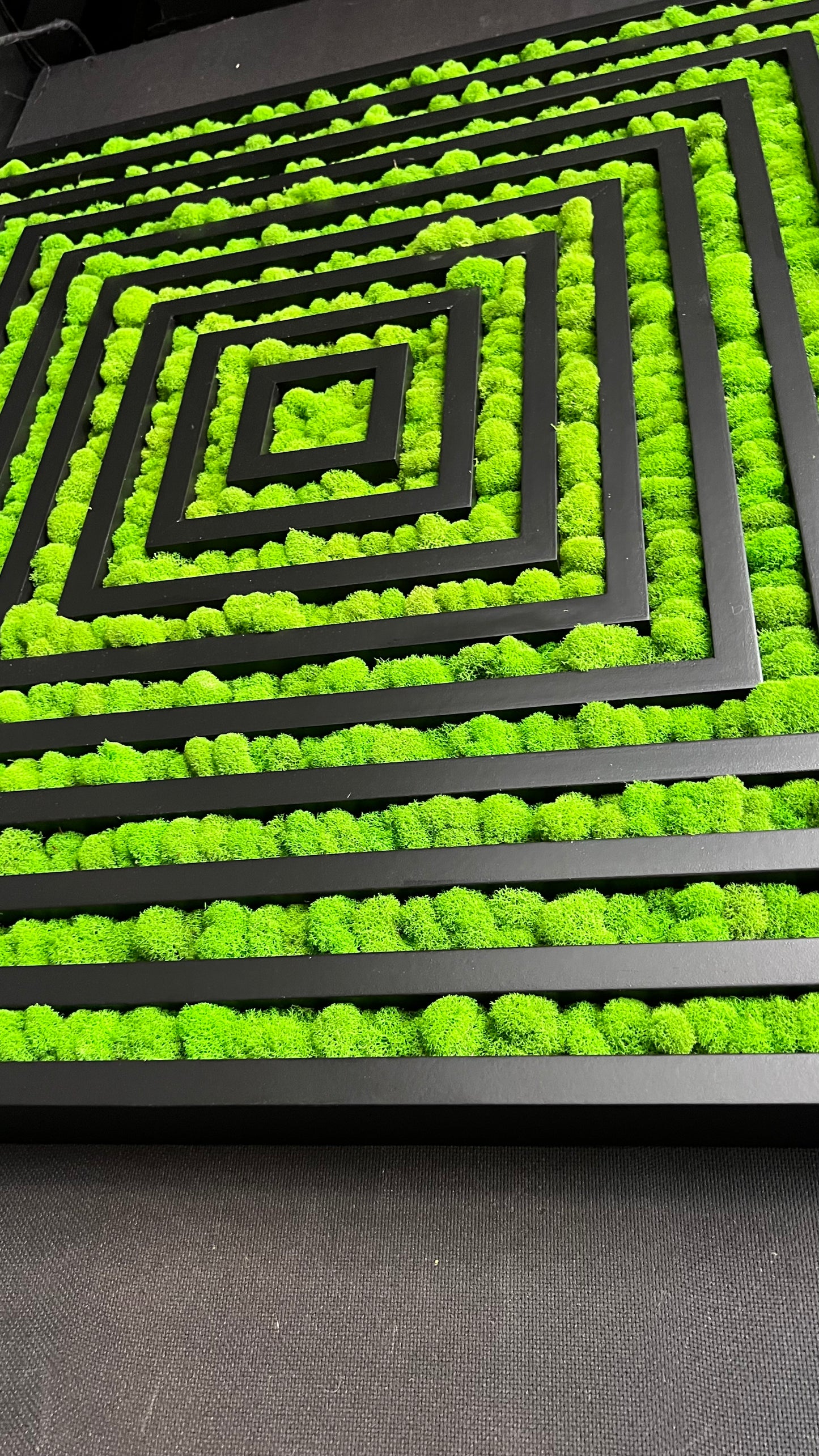 Concentric Square