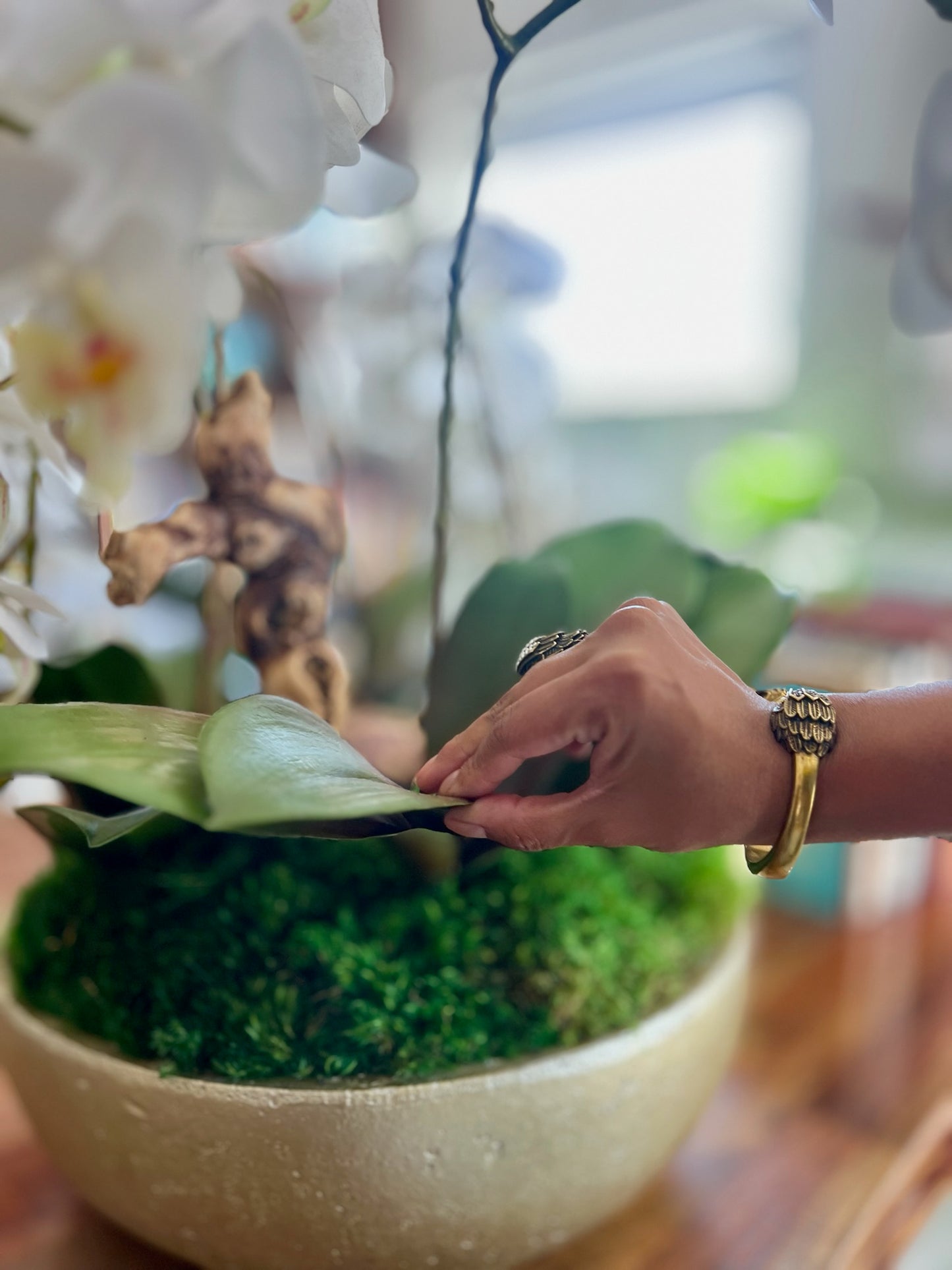 Orchid Centerpiece