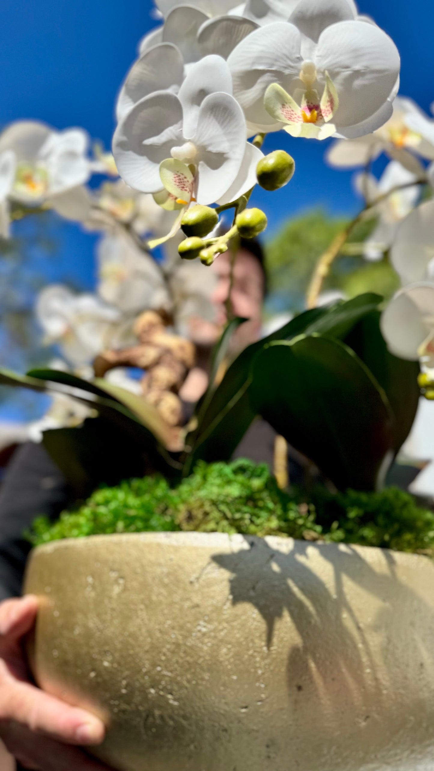 Orchid Centerpiece