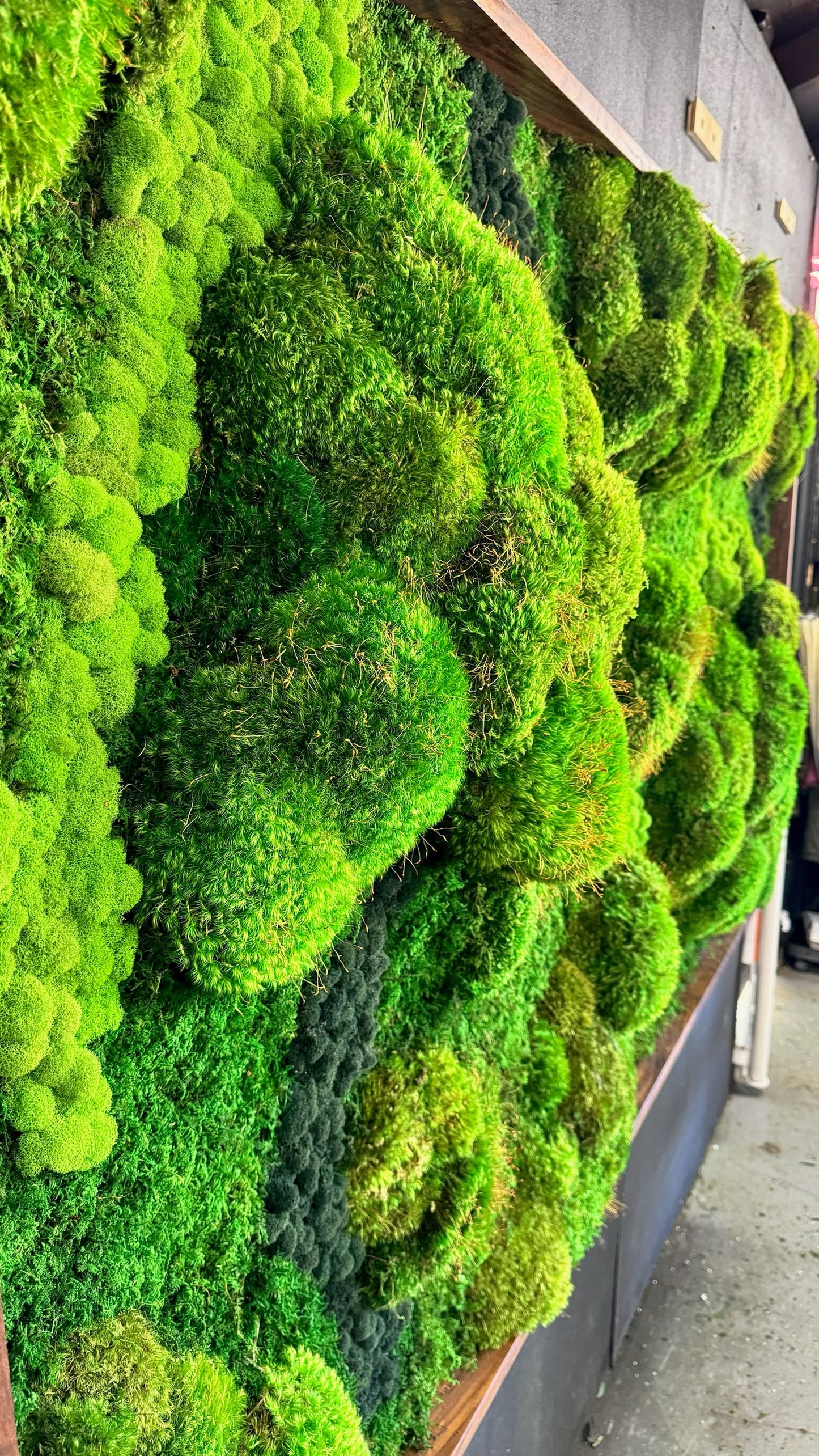 Majestic Moss Boulders