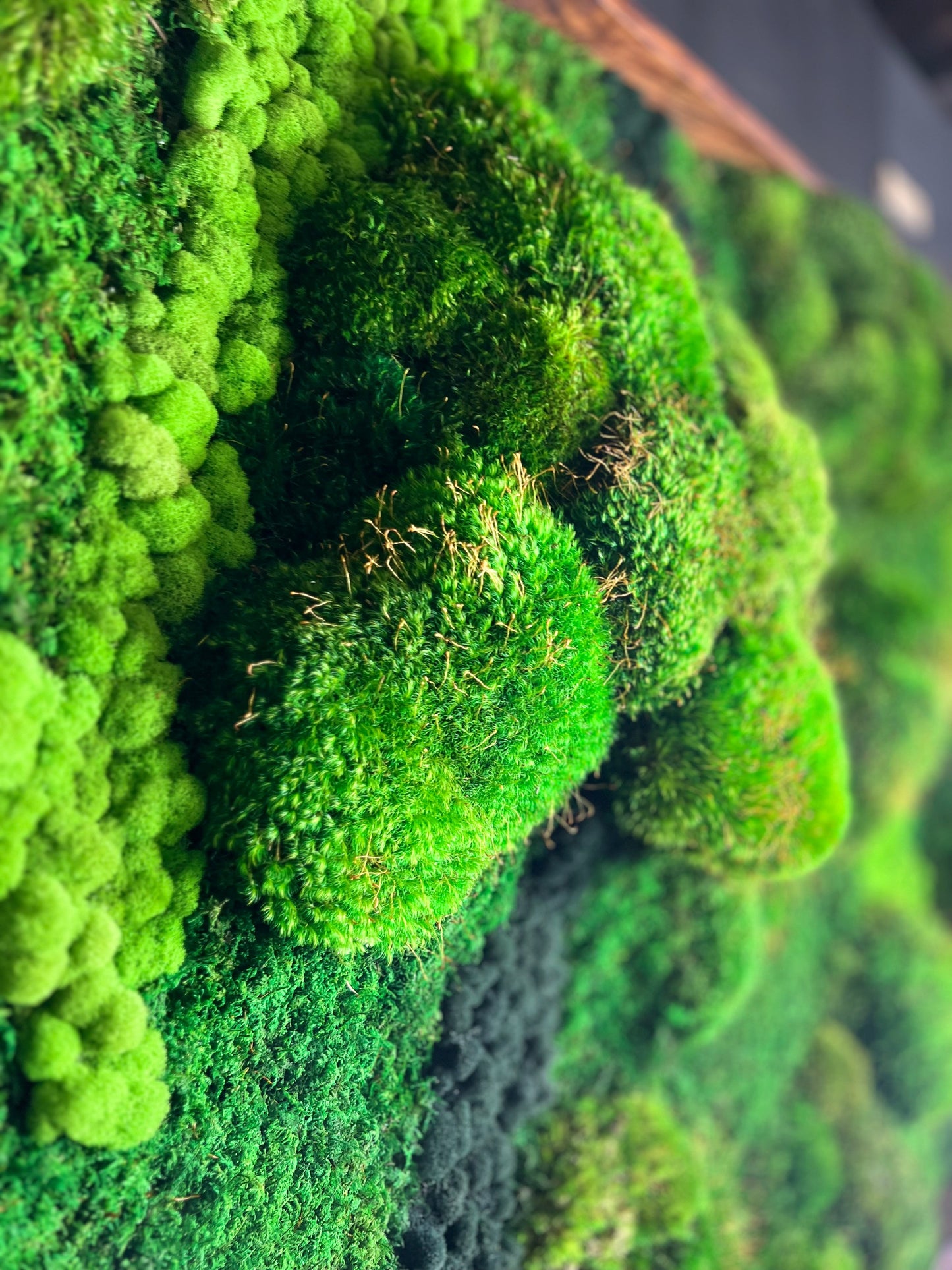 Majestic Moss Boulders