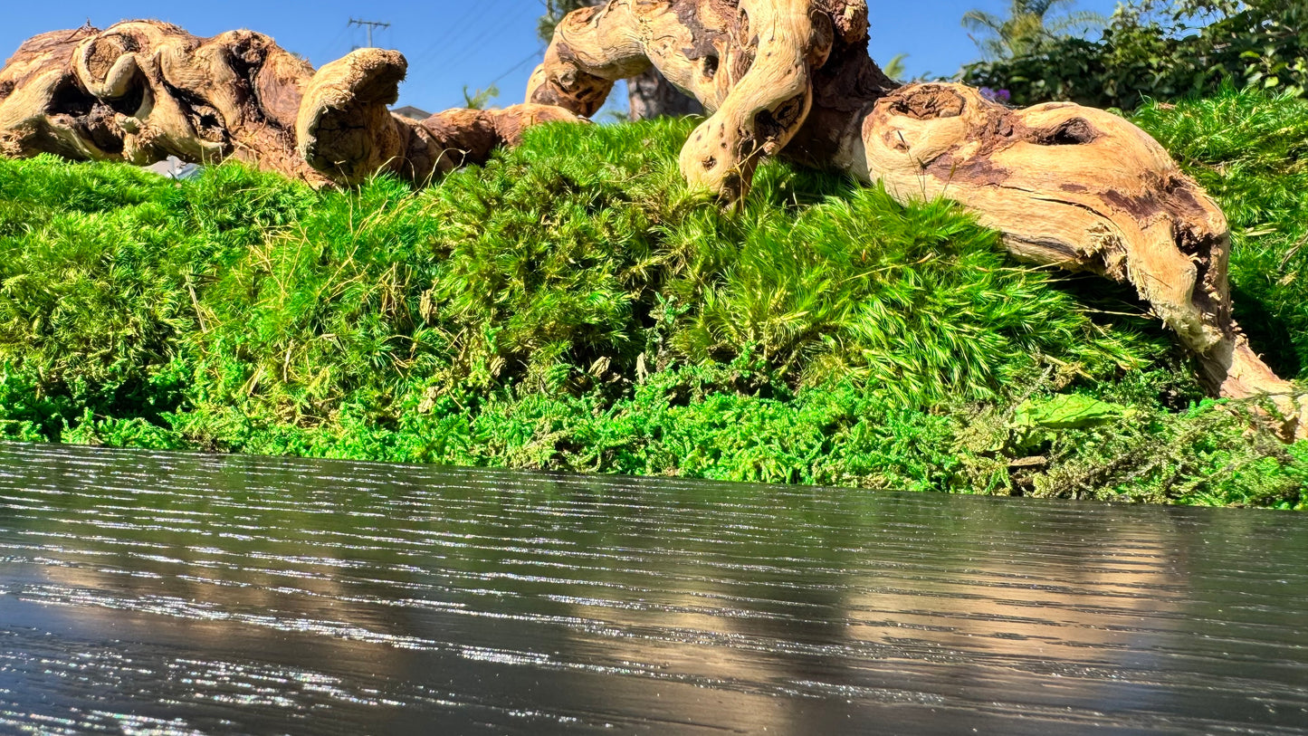 Isla Coffee Table