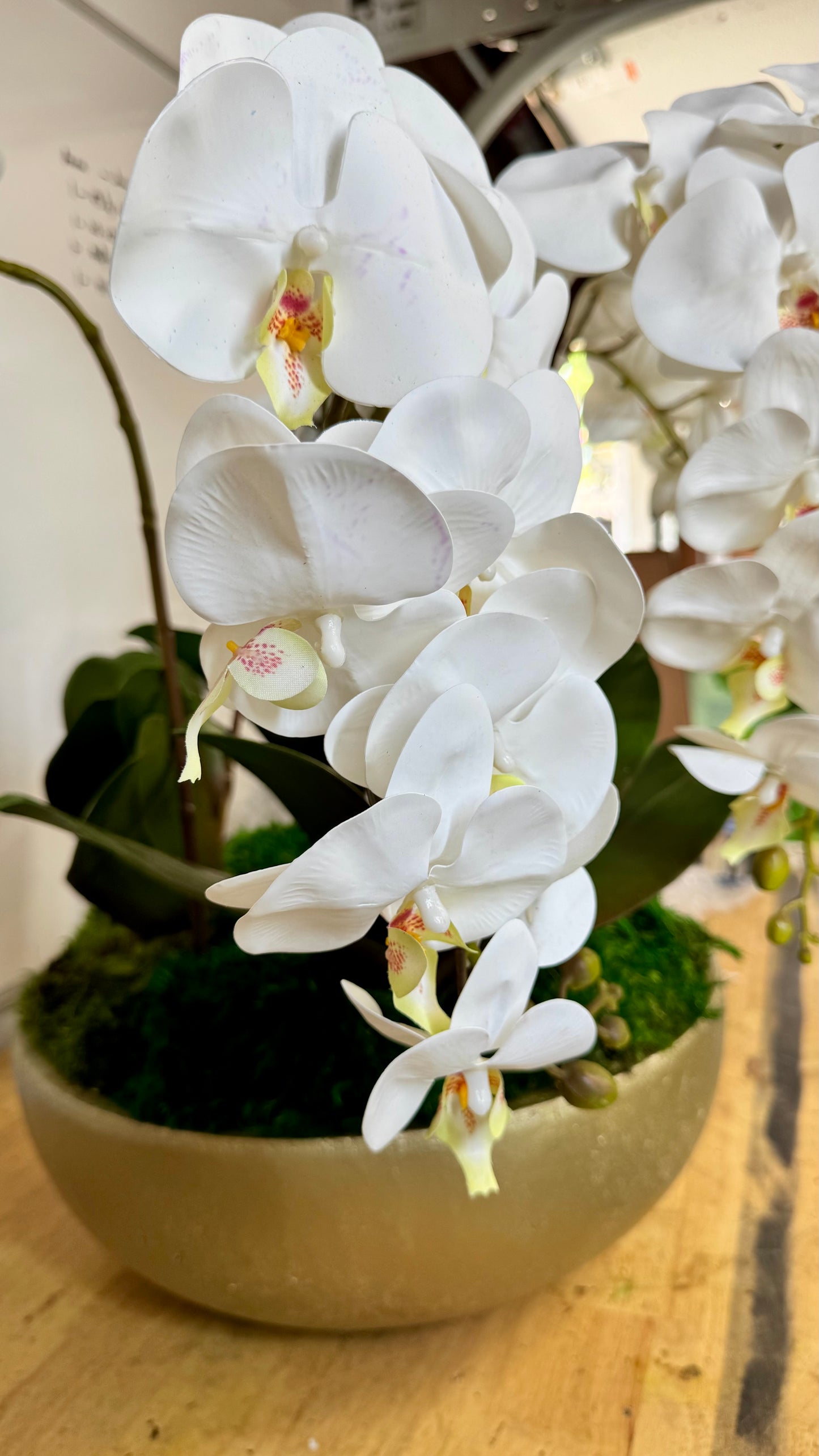 Orchid Centerpiece