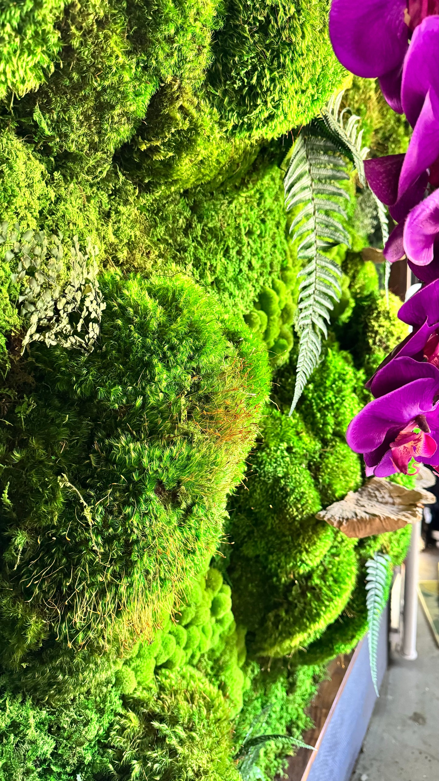 Botanical Oasis - Moss Wall Art