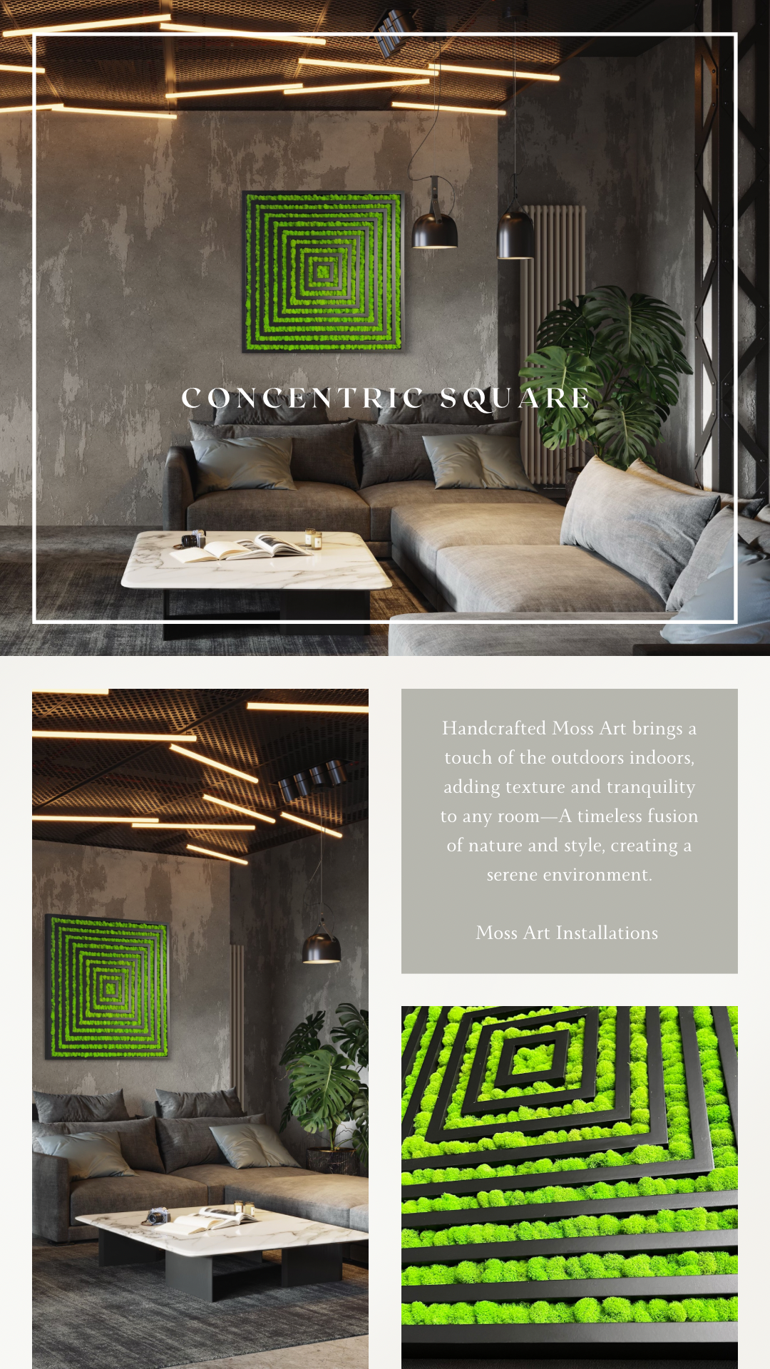Concentric Square
