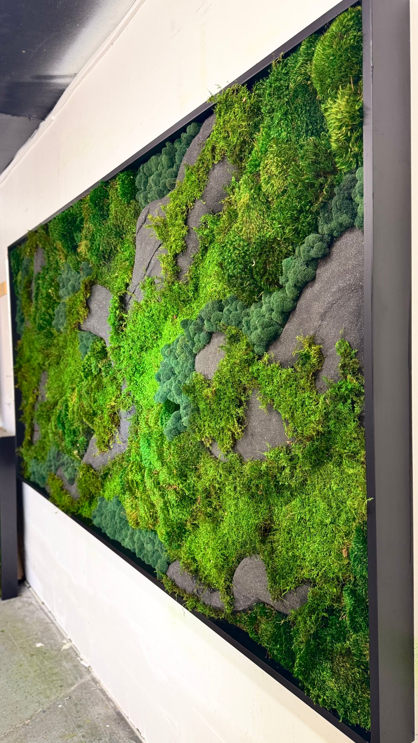 The Black Onyx Forest