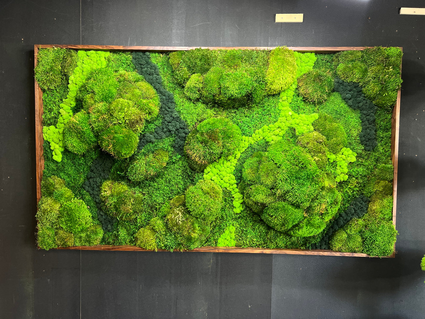 Majestic Moss Boulders