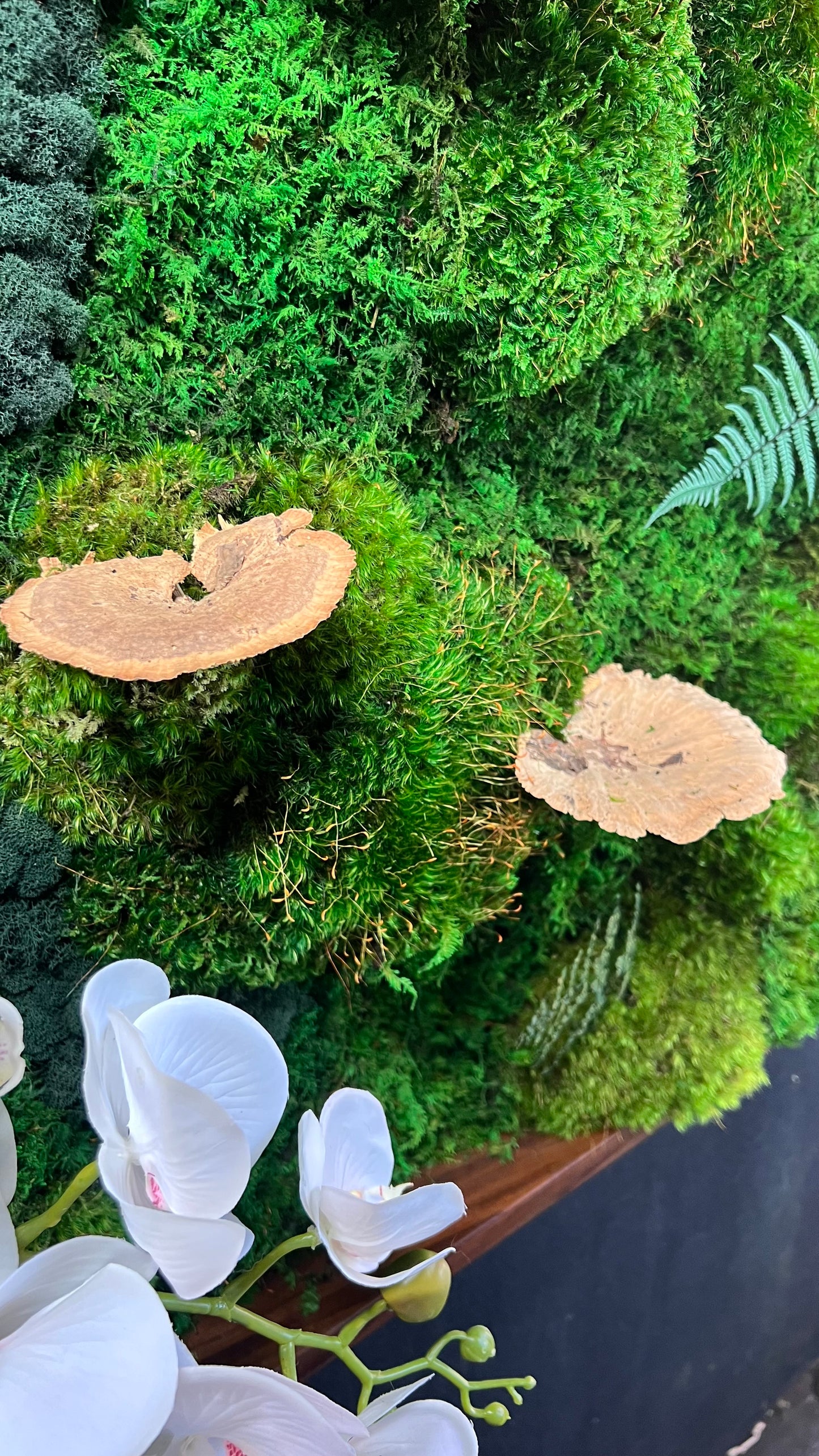 Botanical Oasis - Moss Wall Art