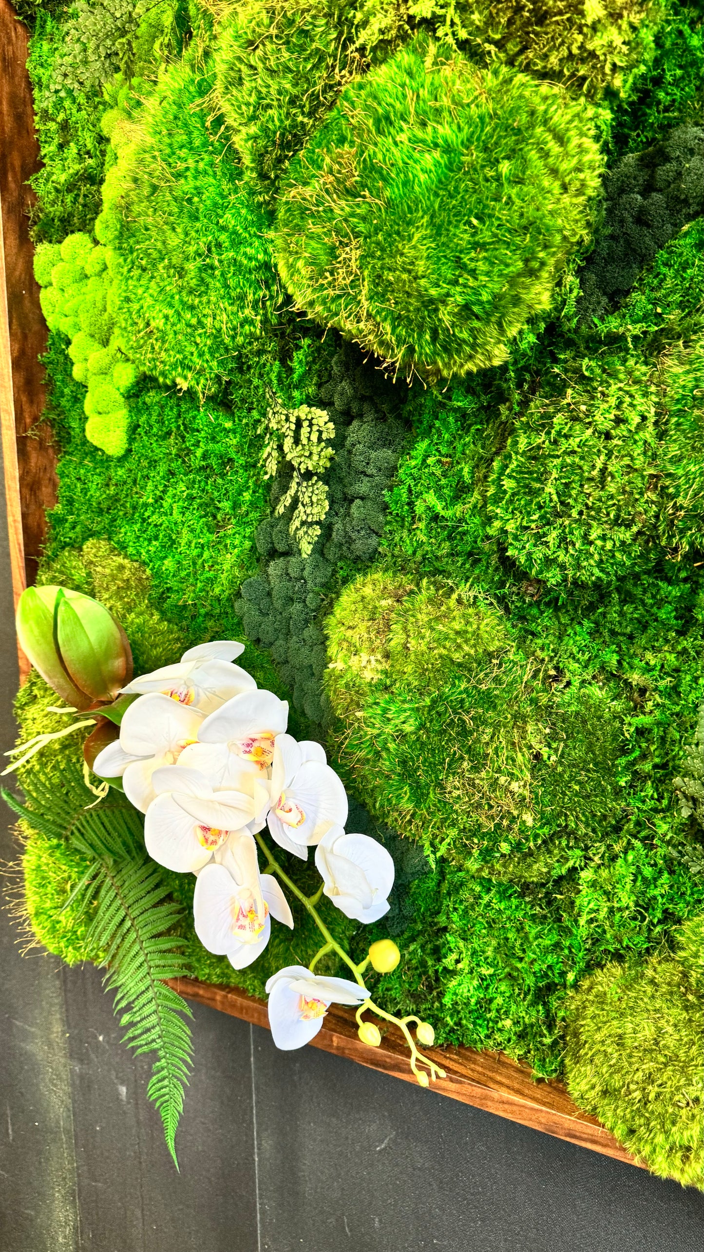 Botanical Oasis - Moss Wall Art