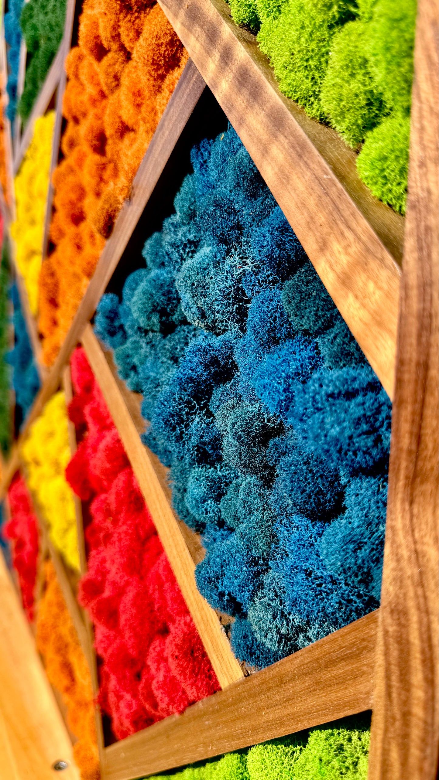 Kaleidoscope 