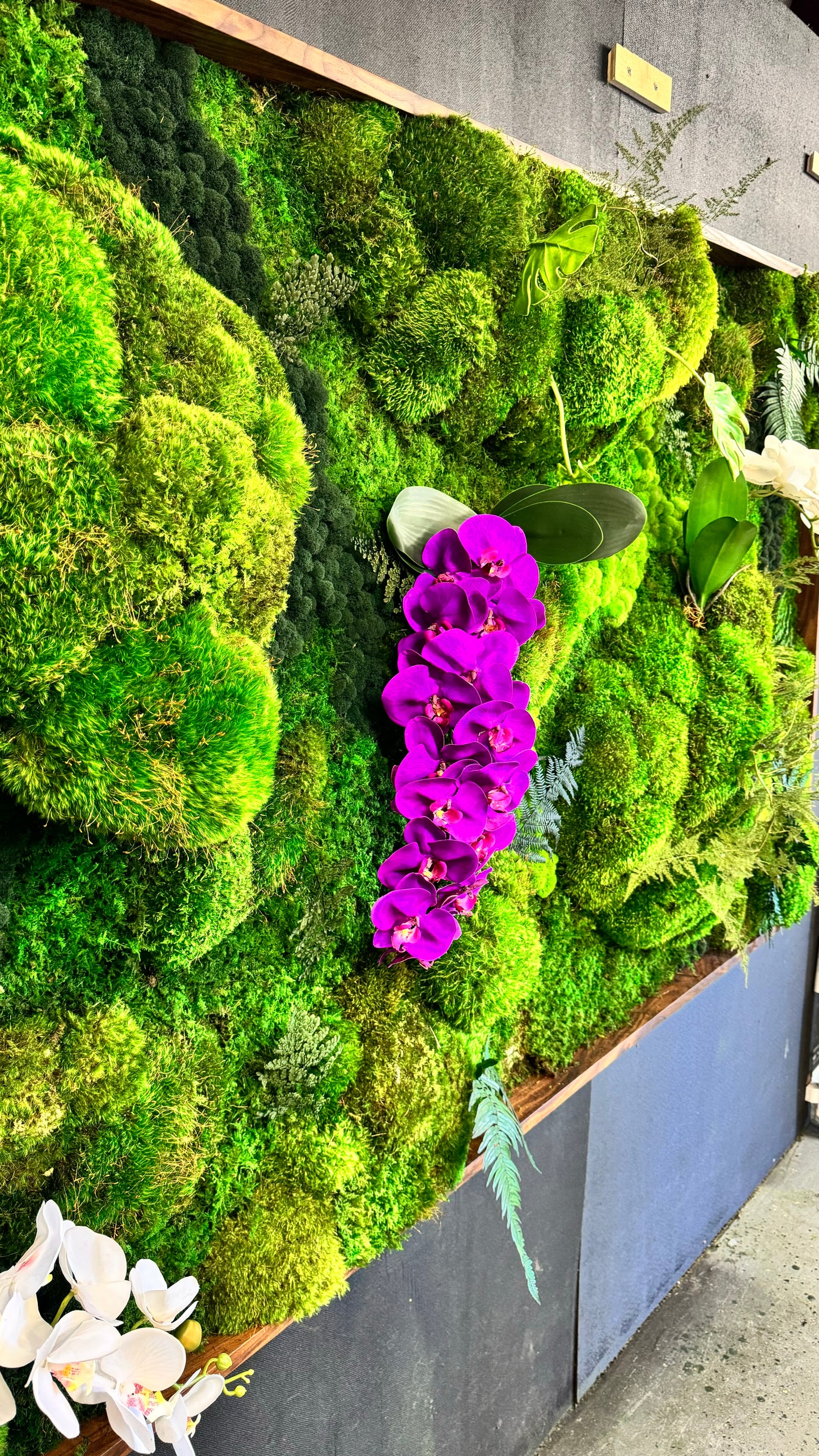 Botanical Oasis - Moss Wall Art