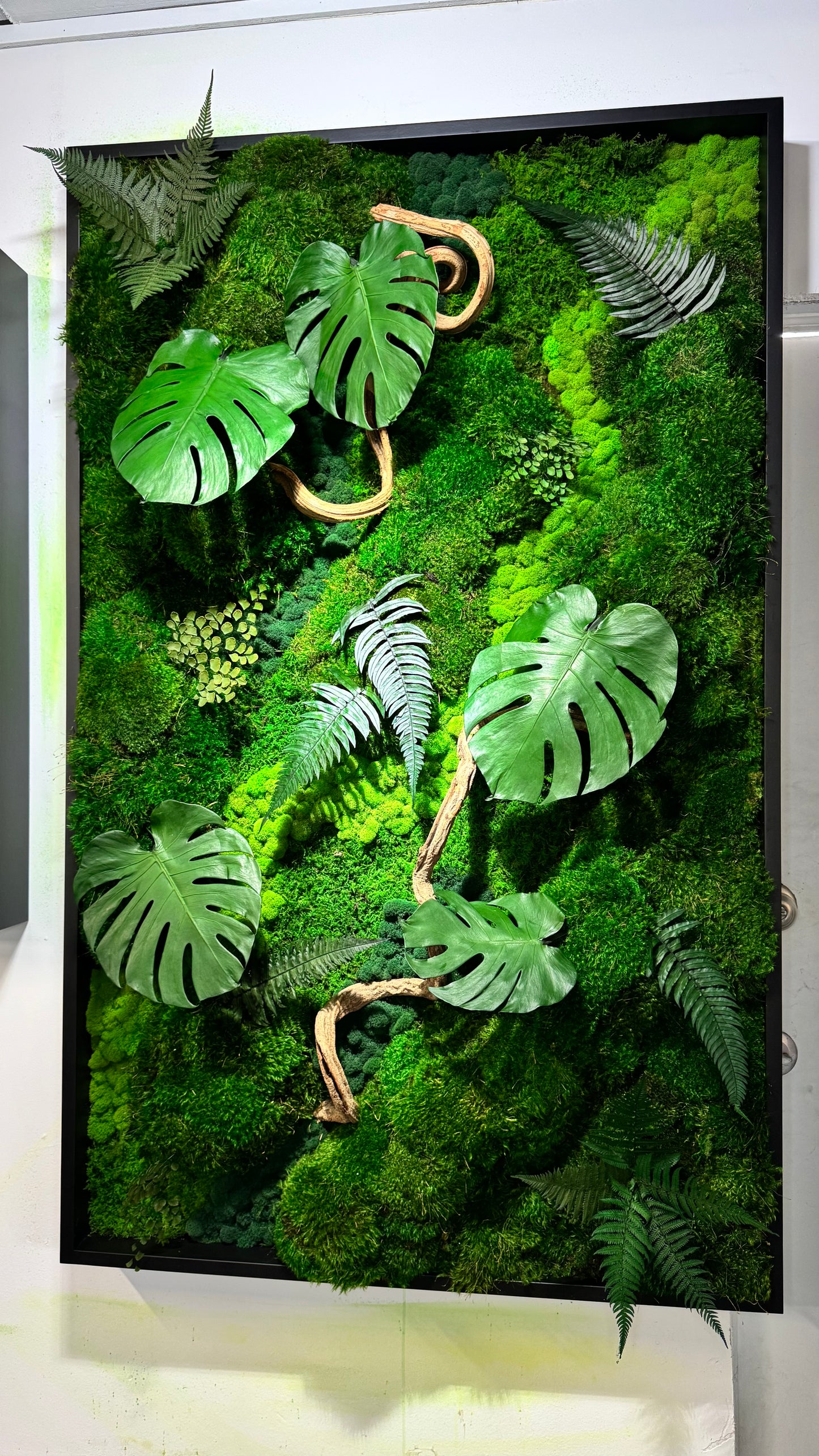 The Terrarium