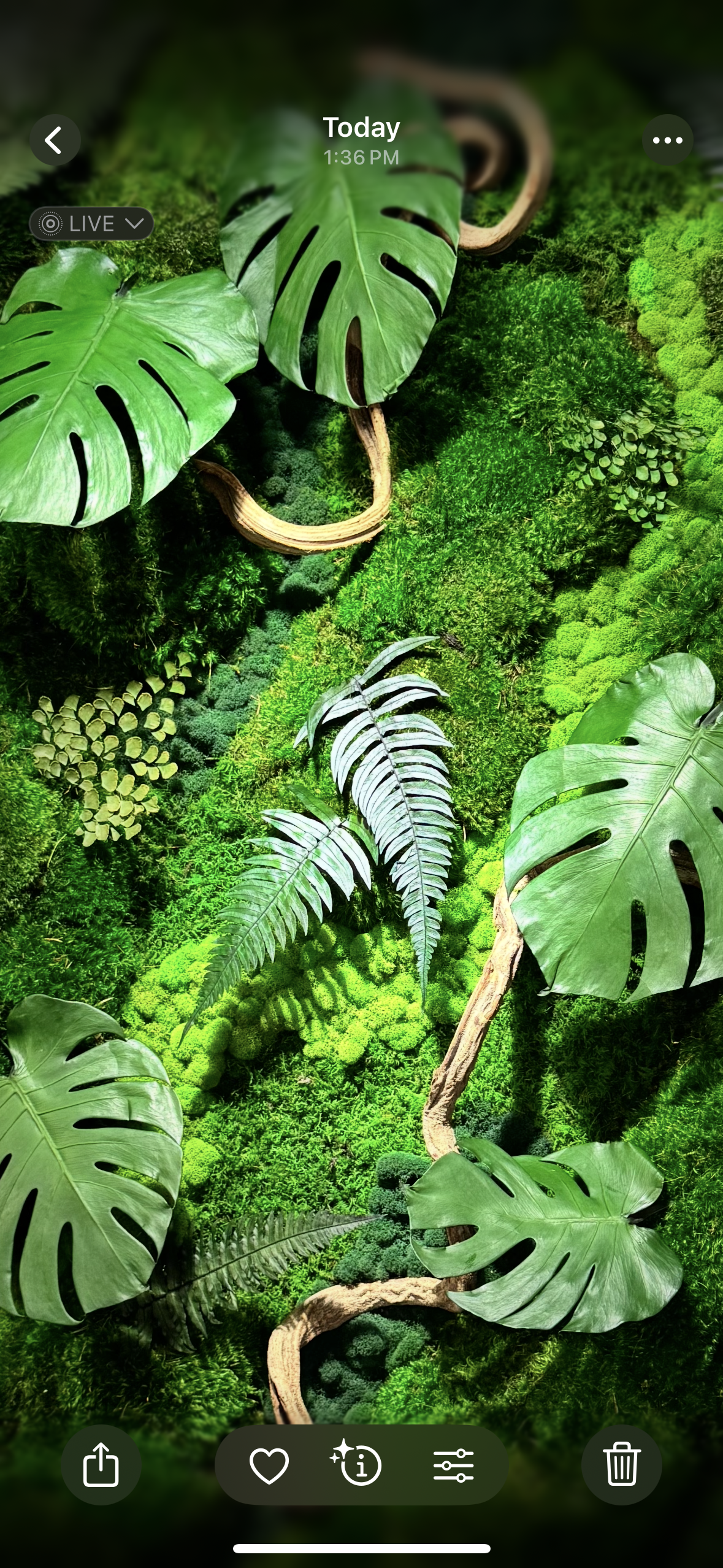The Terrarium