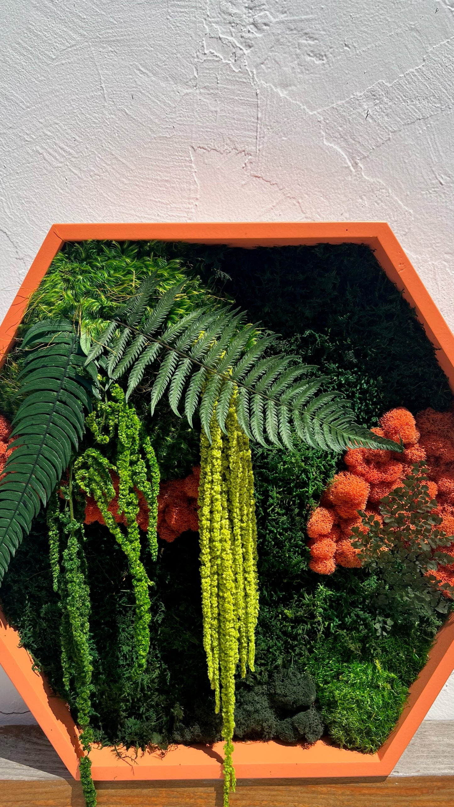 Hexagon Botanical Garden Moss Wall Art by Moss Art Installations