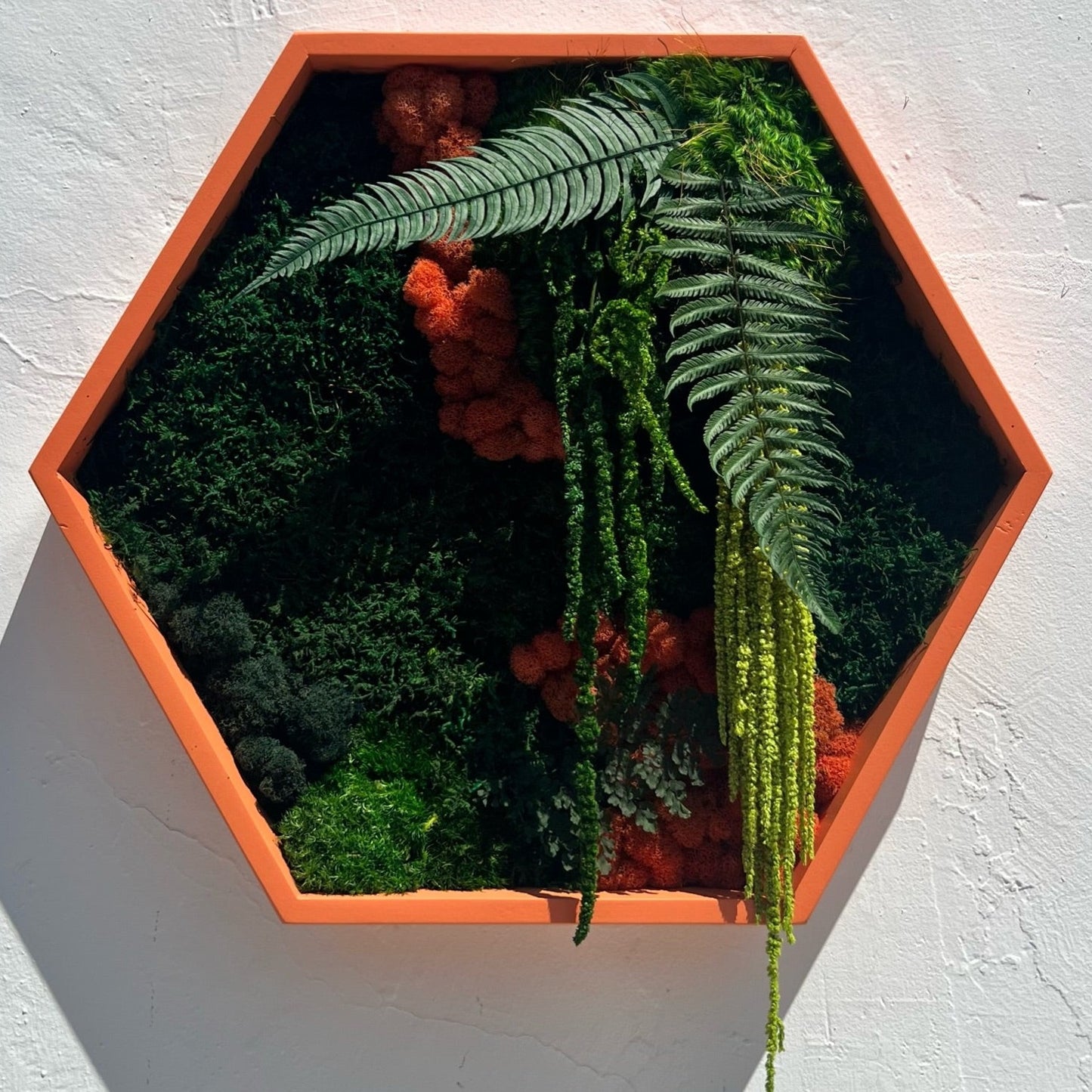Hexagon Botanical Garden Moss Wall Art by Moss Art Installations