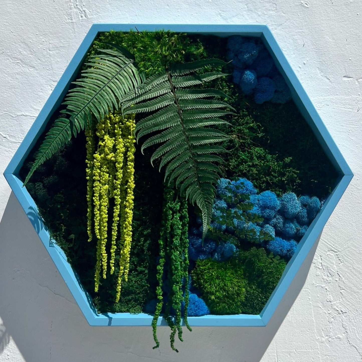 Hexagon Botanical Garden Moss Wall Art by Moss Art Installations