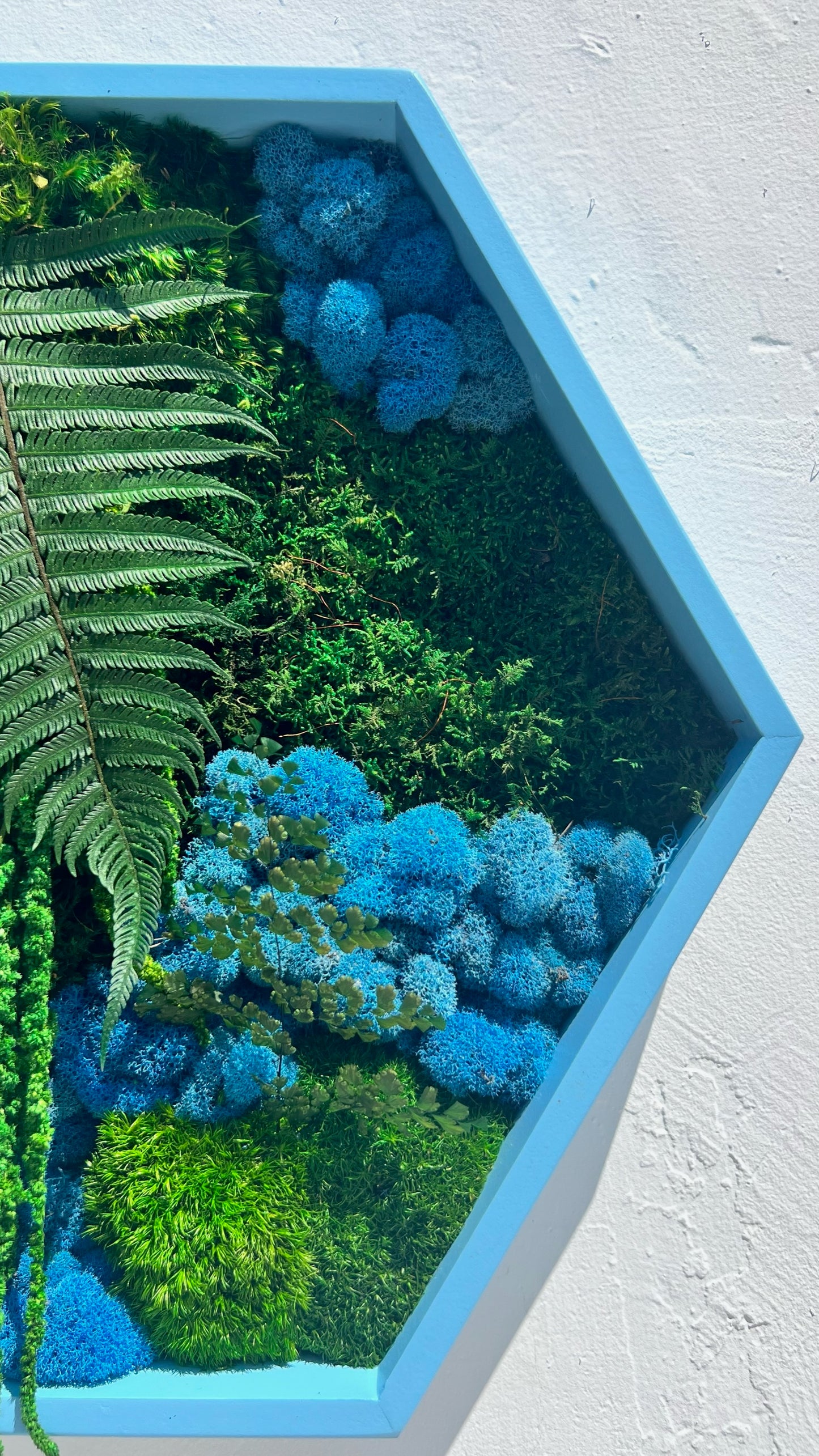 Hexagon Botanical Garden Moss Wall Art by Moss Art Installations