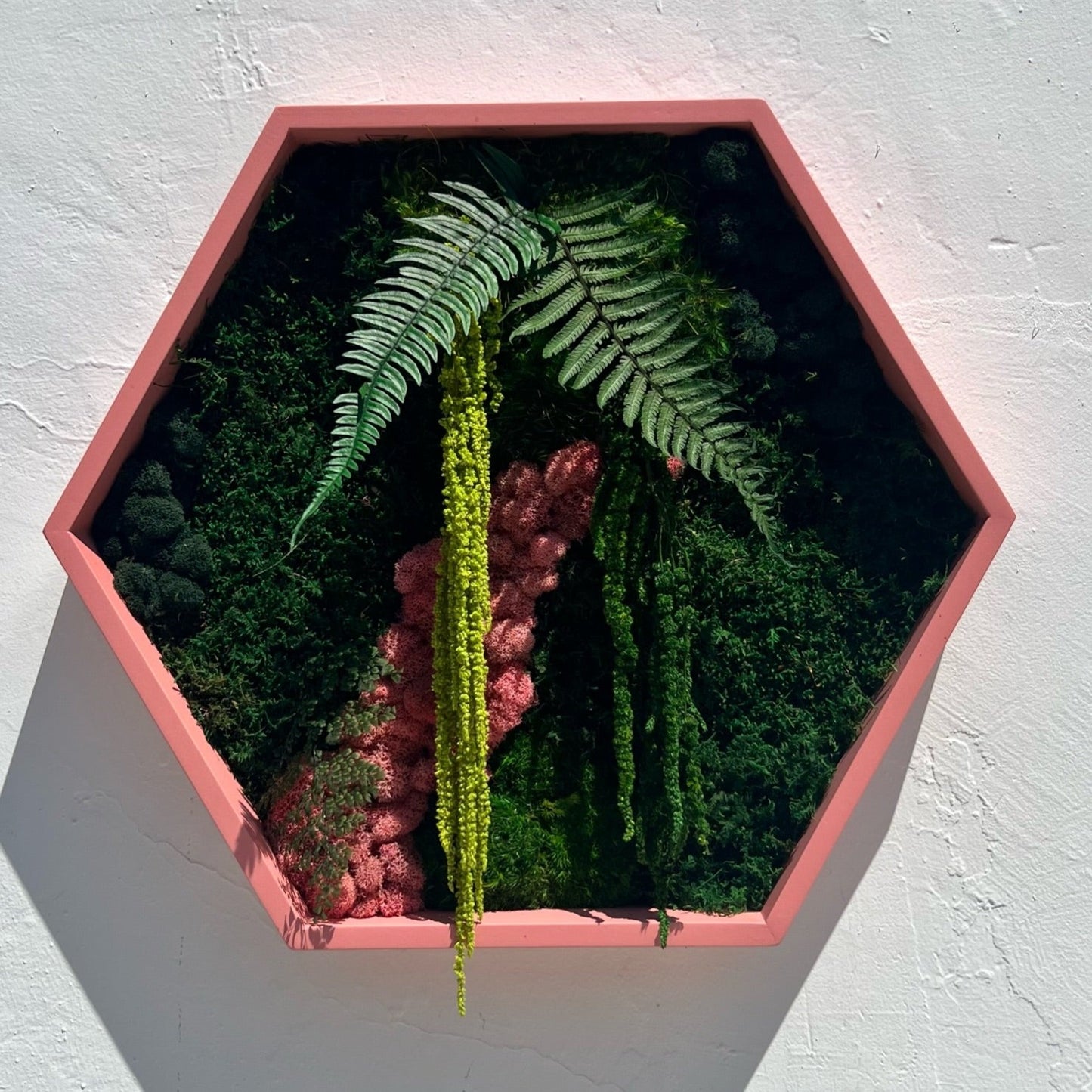 Hexagon Botanical Garden Moss Wall Art by Moss Art Installations