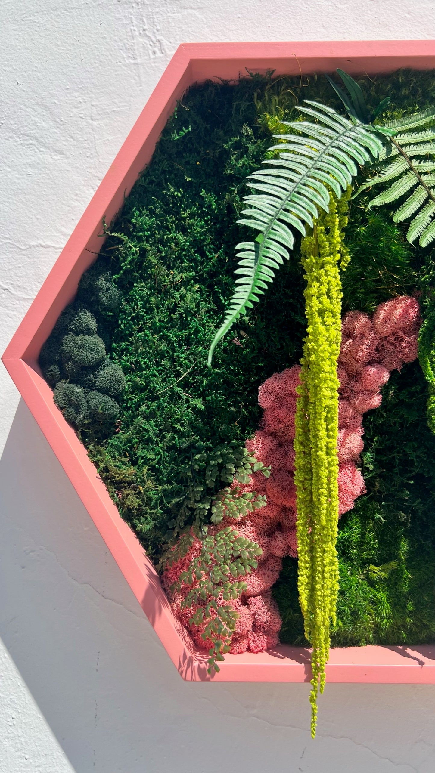Hexagon Botanical Garden Moss Wall Art by Moss Art Installations