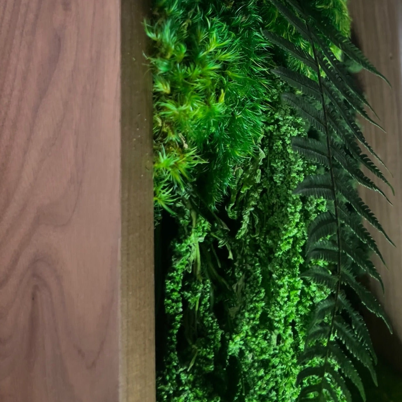 3 Panel Forgotten Forest
