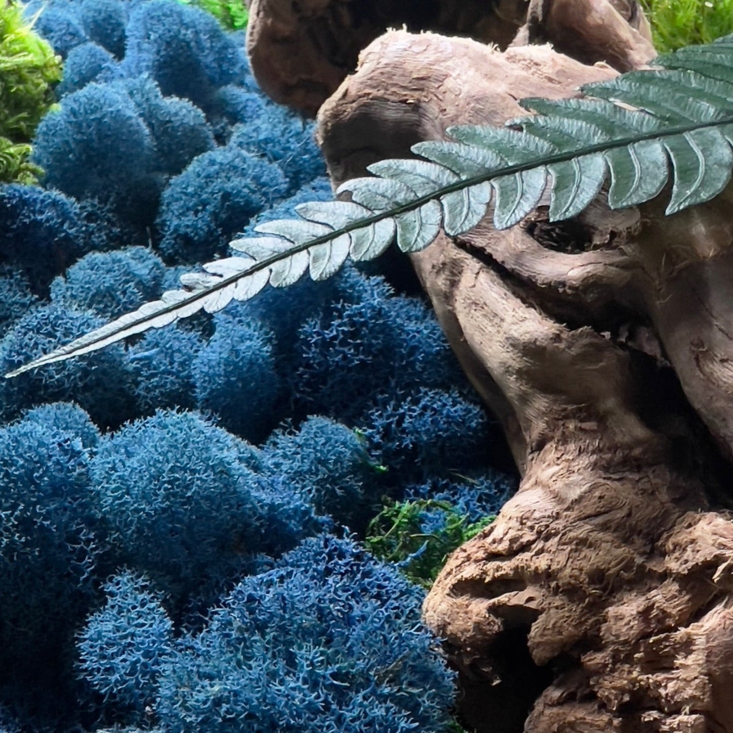 Rio Azul Moss Wall Art by Moss Art Installations