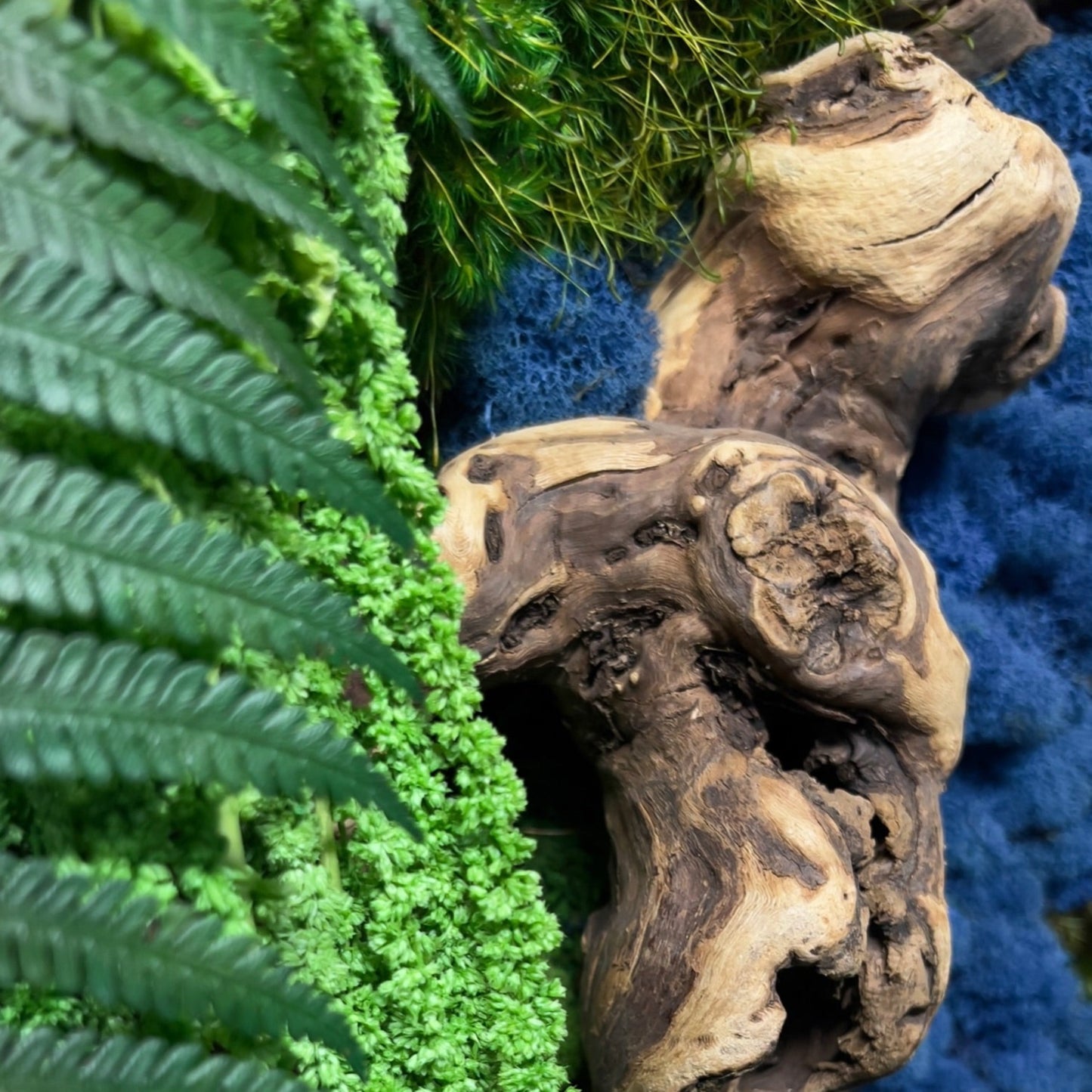 Rio Azul Moss Wall Art by Moss Art Installations