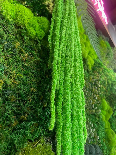 Square Forgotten Forest Moss Wall Art