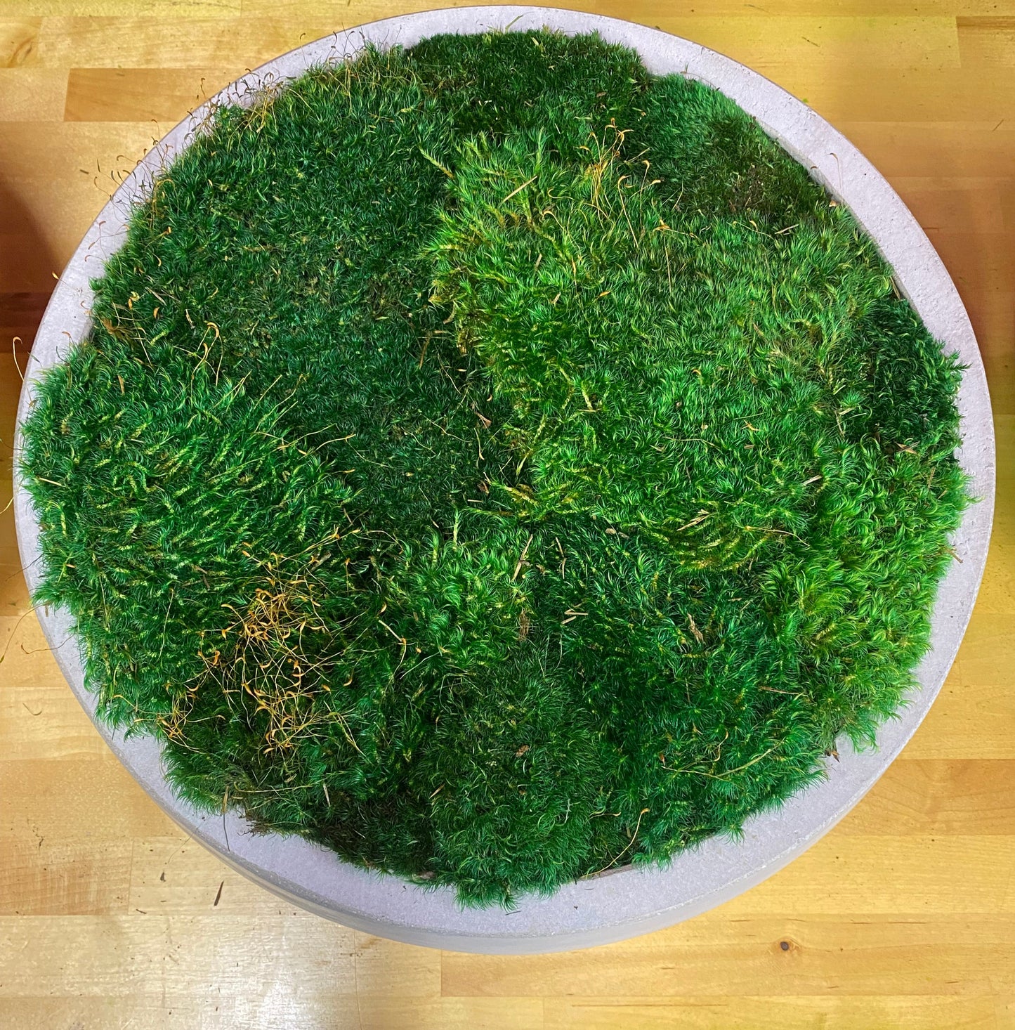 Cement Center Piece