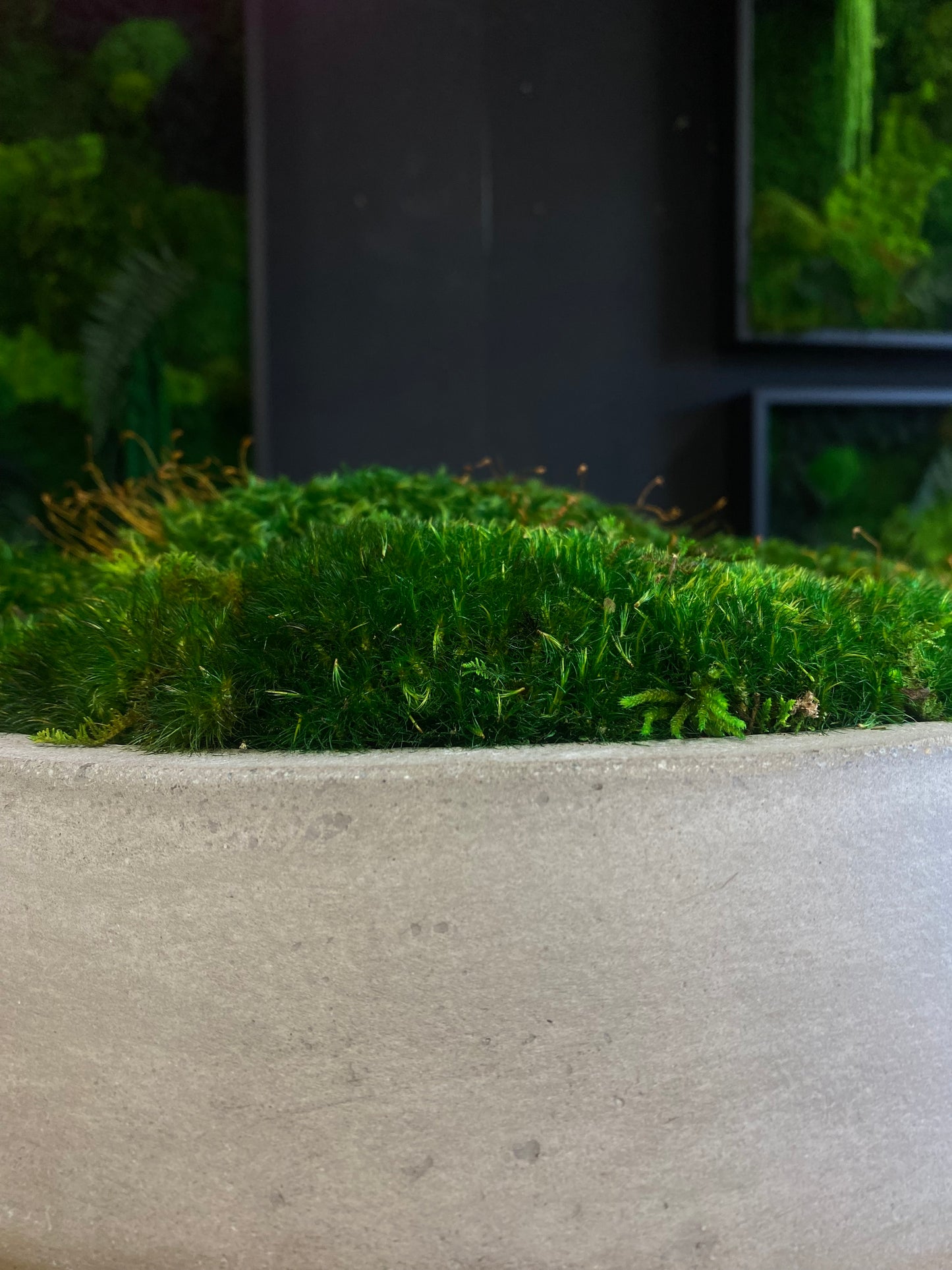 Cement Center Piece