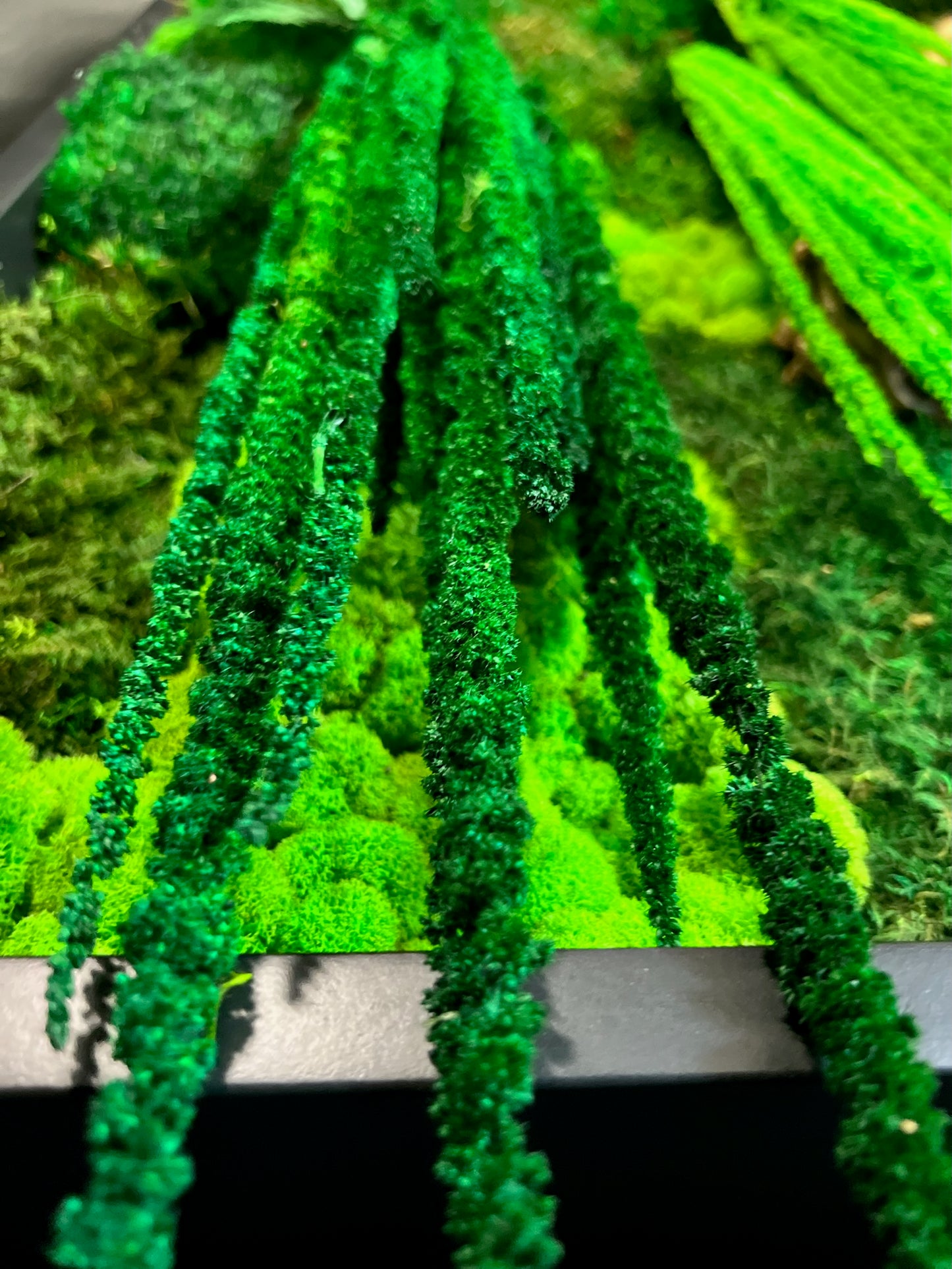 Custom Handcrafted Moss Logos