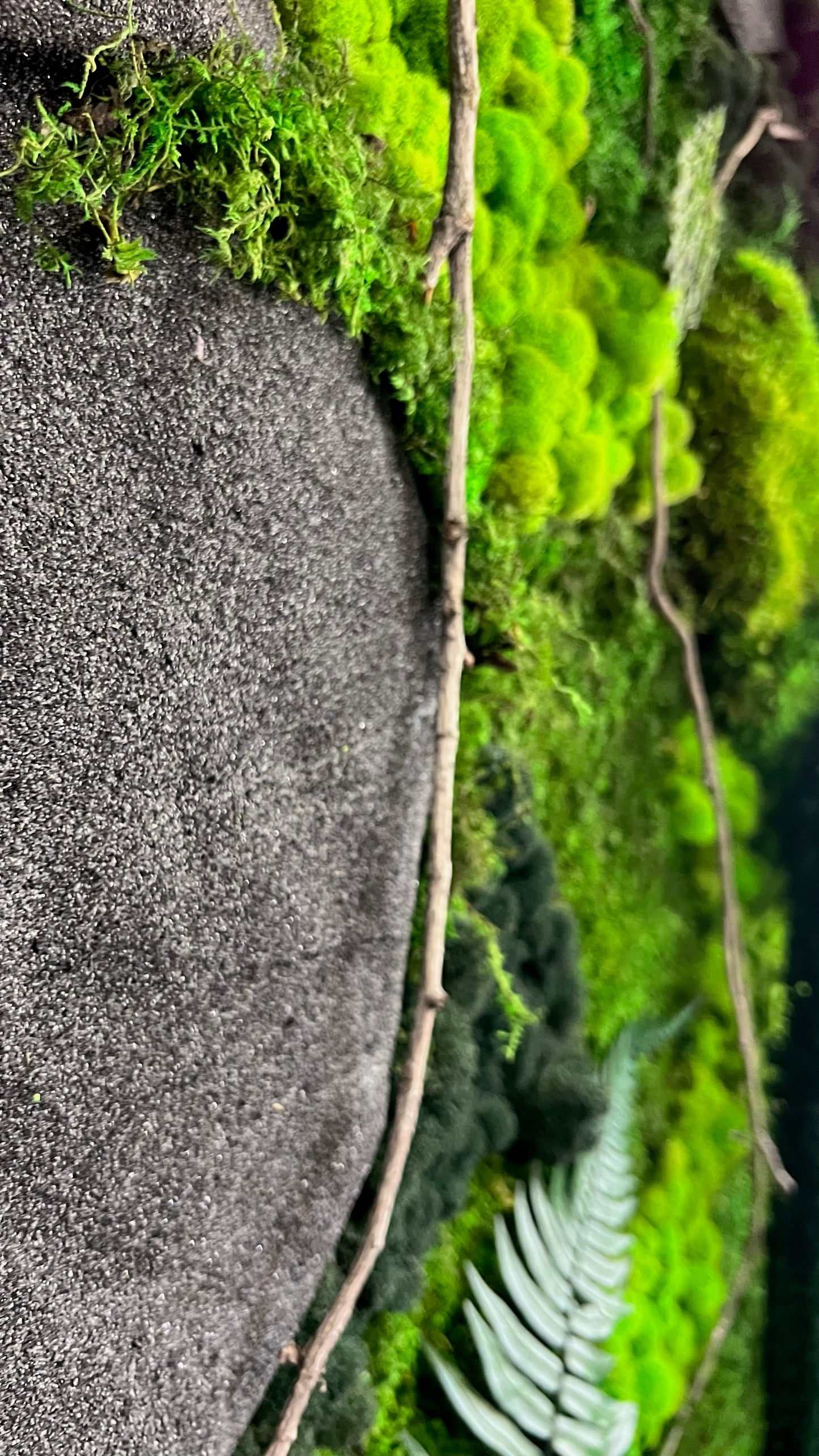 "Welcome to the Jungle" Moss Wall Art
