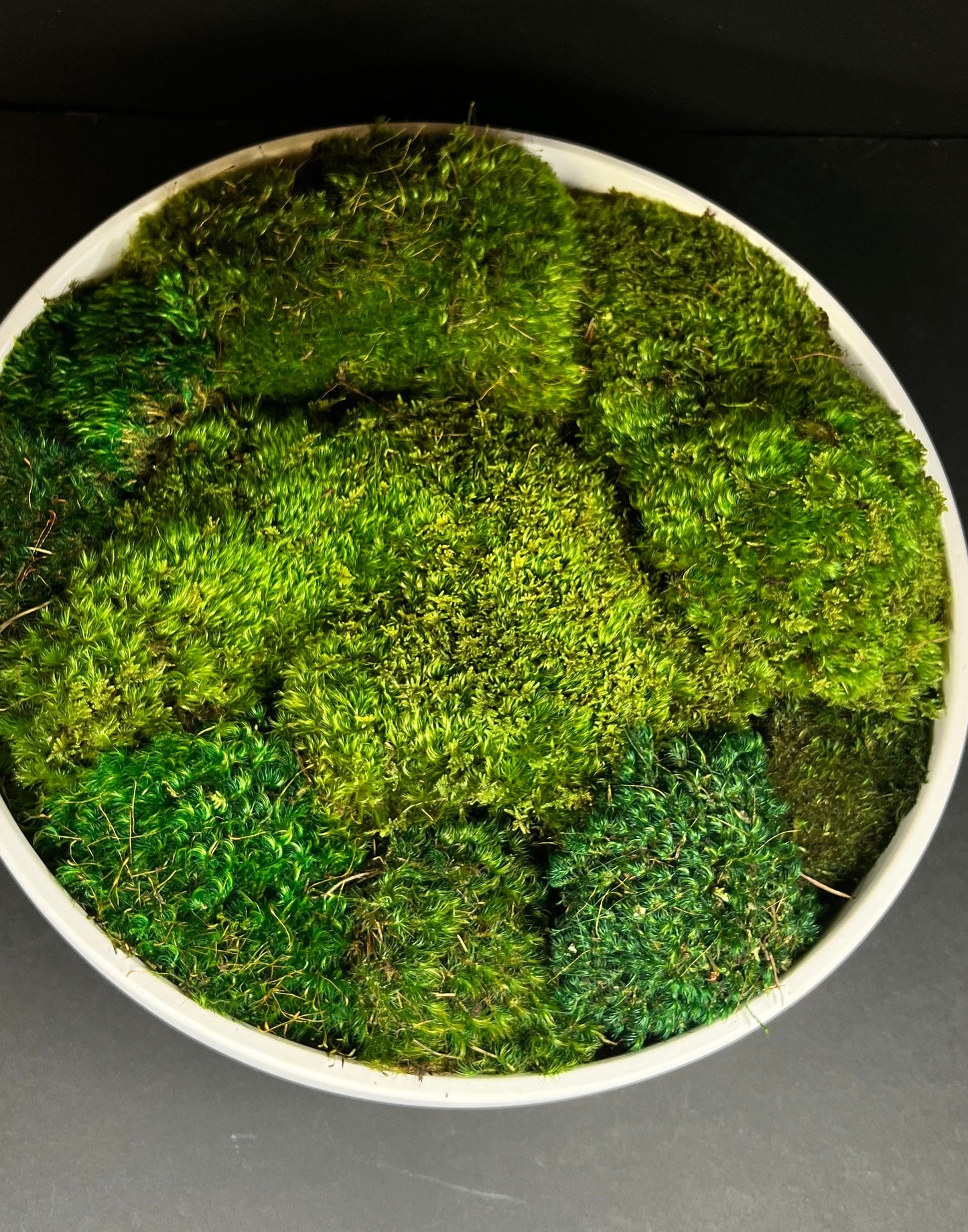 Moss Bowl Centerpiece