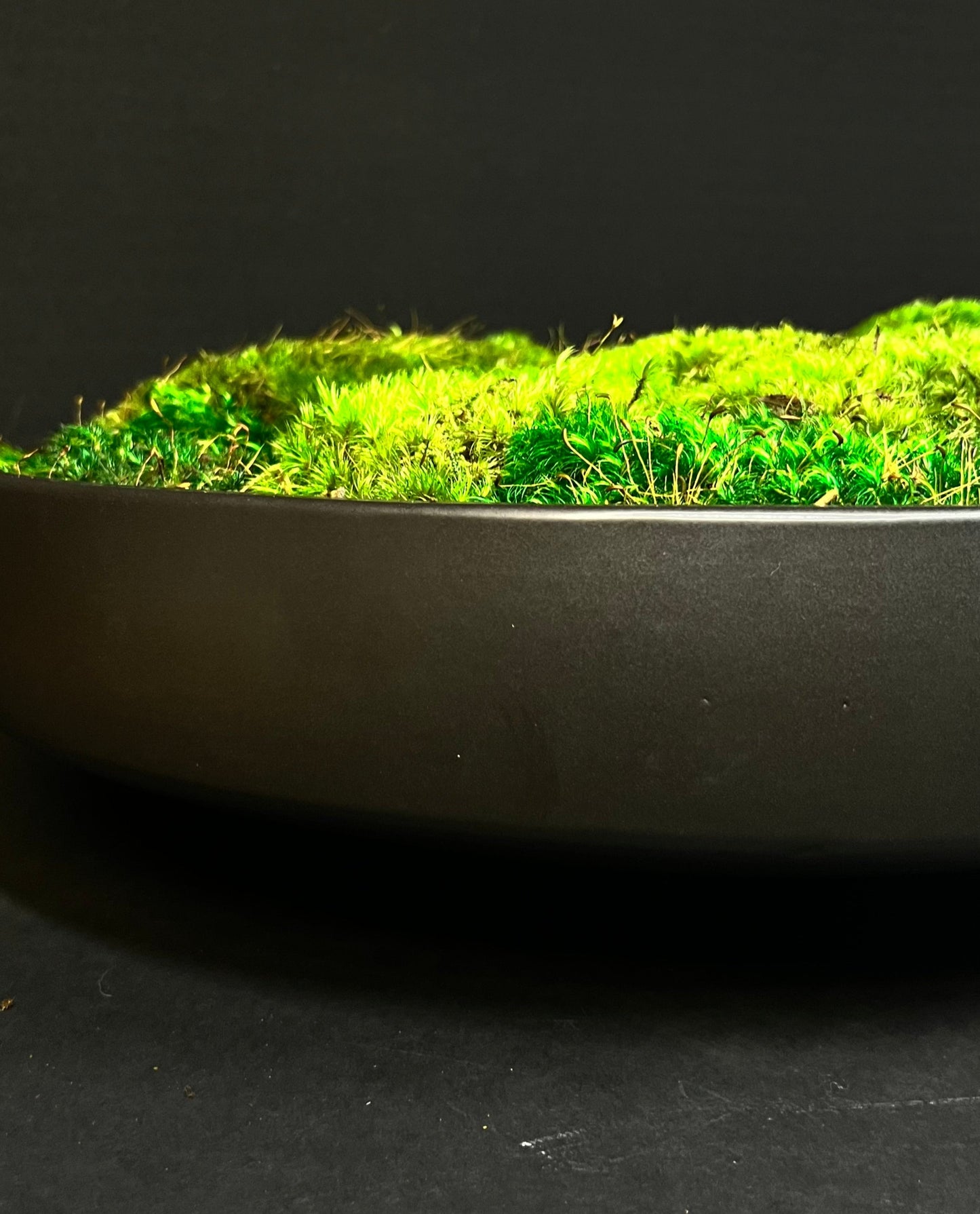 Moss Bowl Centerpiece