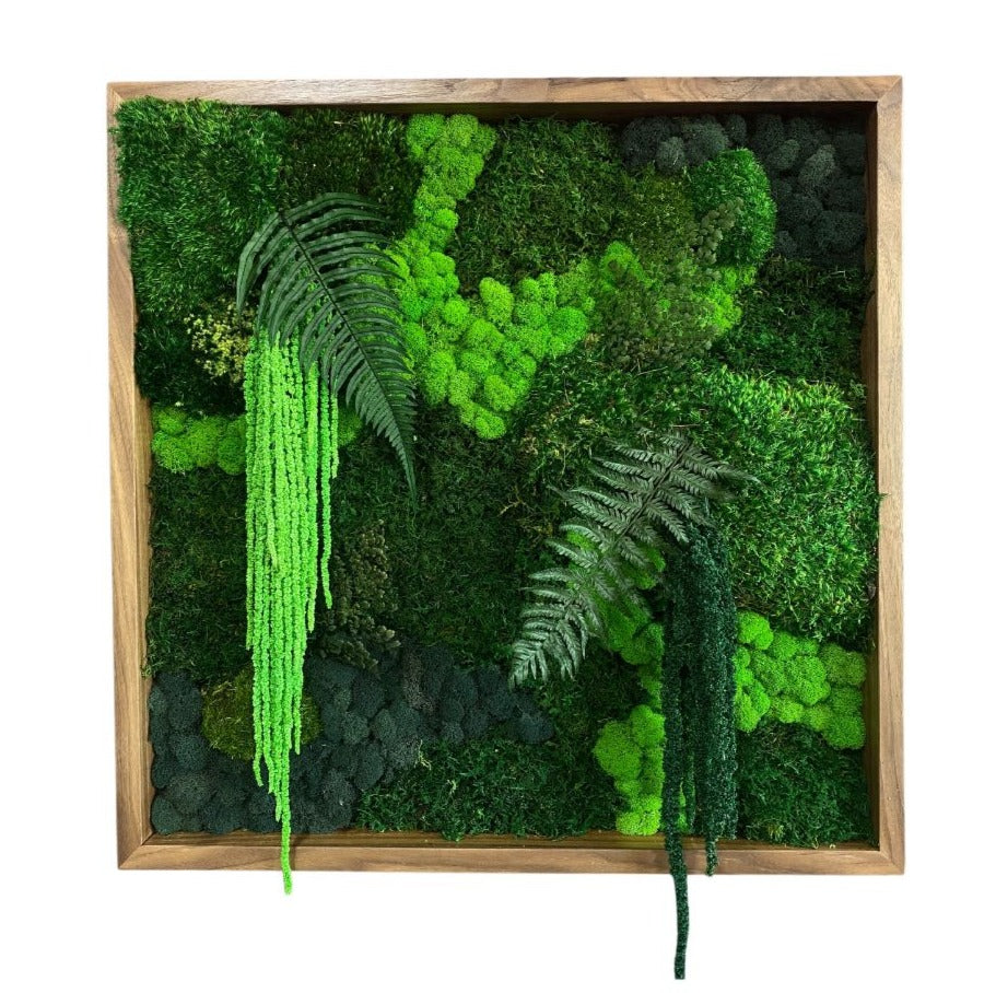 Square Forgotten Forest Moss Wall Art