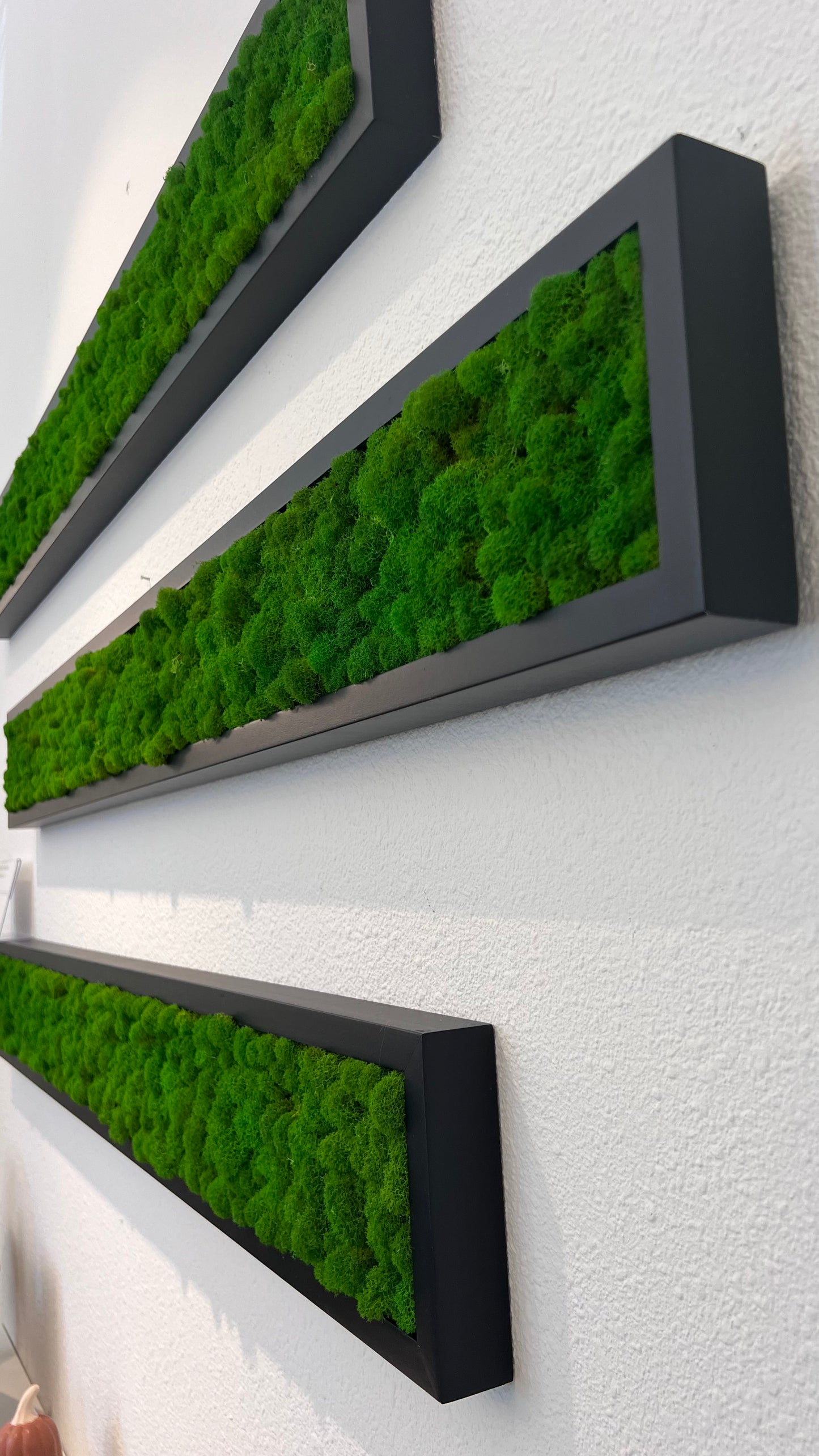 Wall Panel 3 Set
