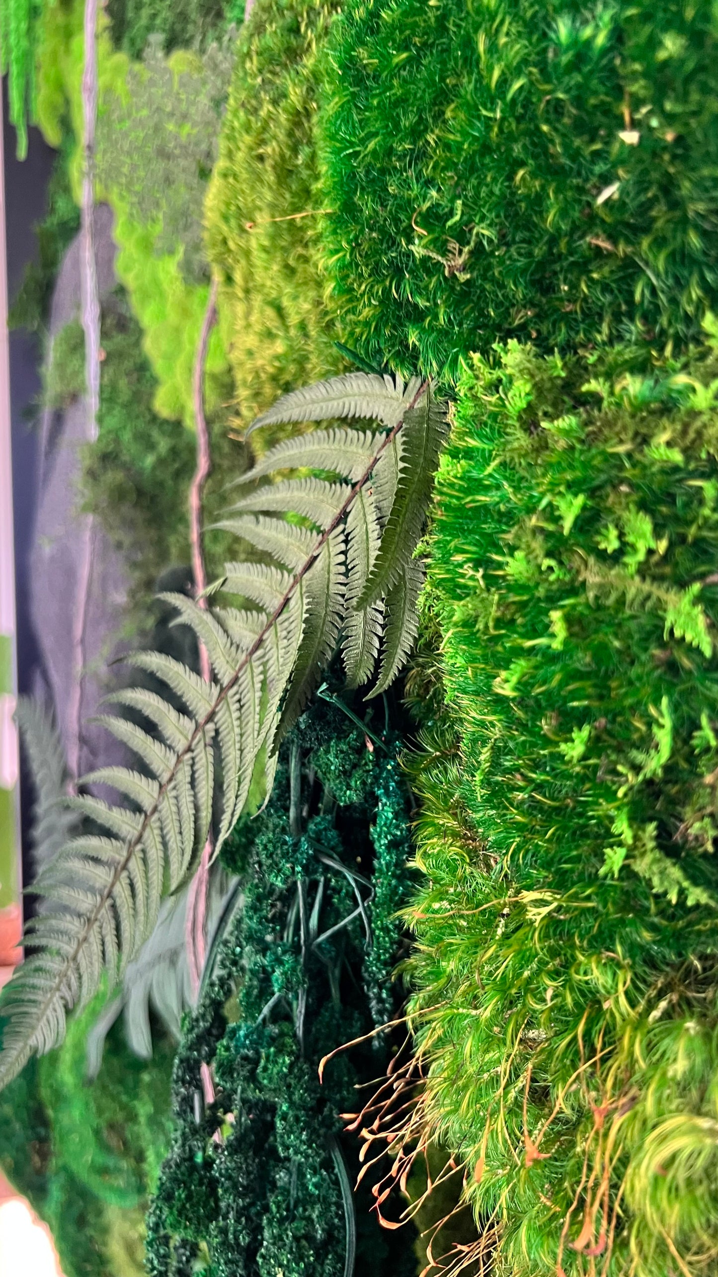 "Welcome to the Jungle" Moss Wall Art