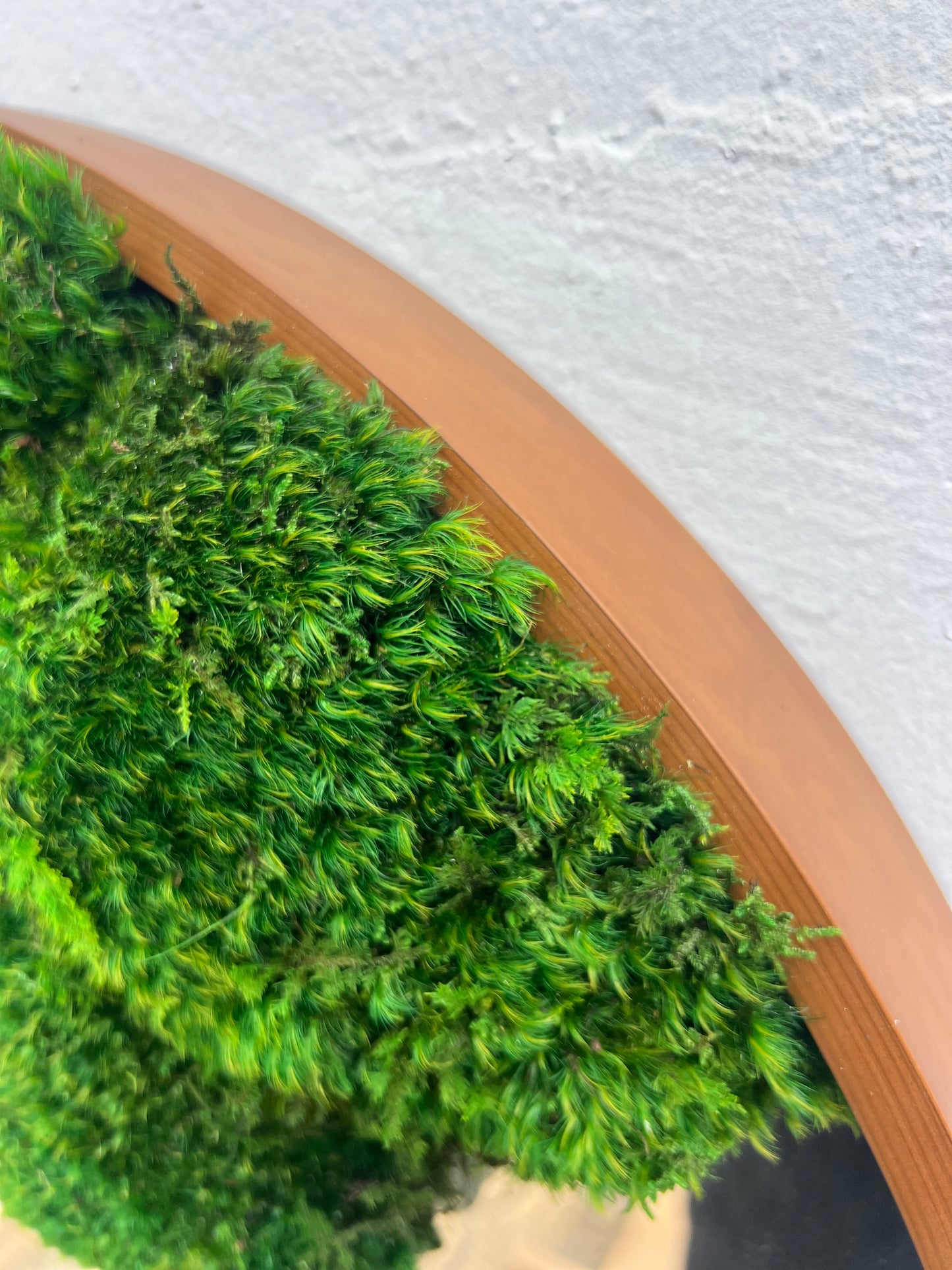 Botanical Mirror