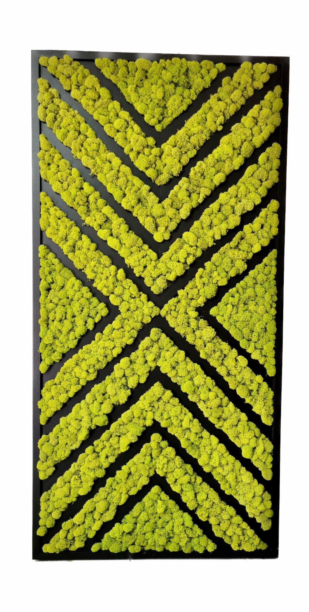 Moss Wall Art by Moss Art Installations