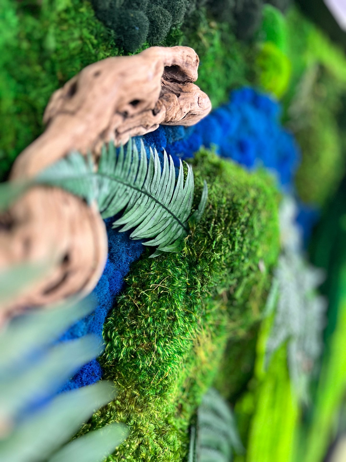 Rio Azul Moss Wall Art by Moss Art Installations