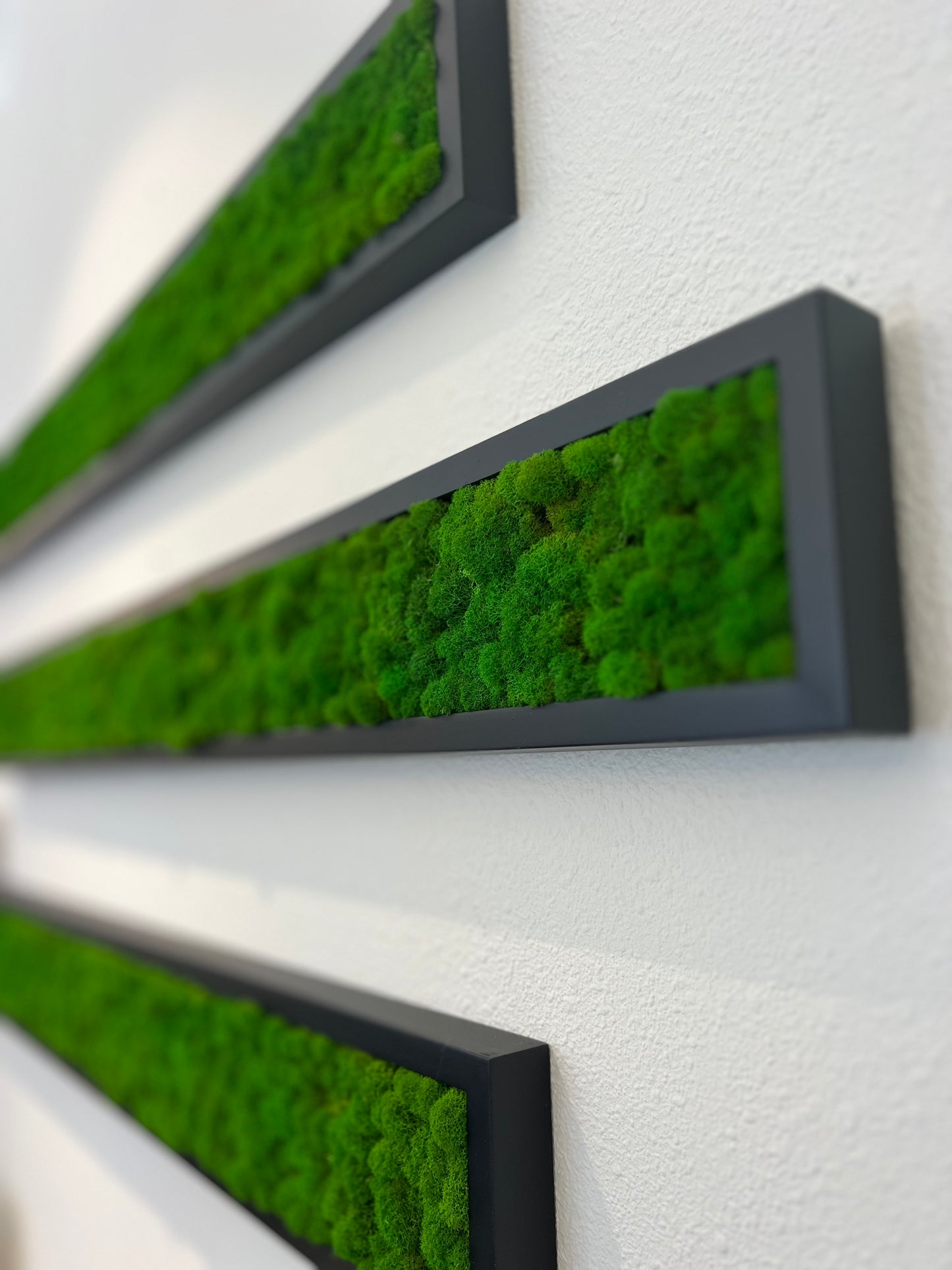 Wall Panel 3 Set