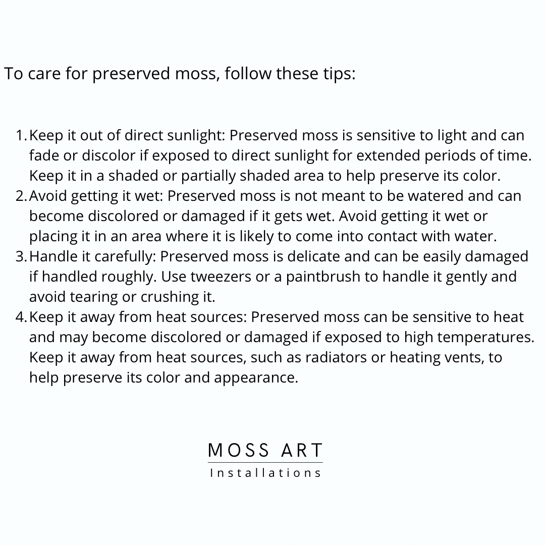 Fibonacci Moss Wall Art Moss wall art by Moss Art Installations