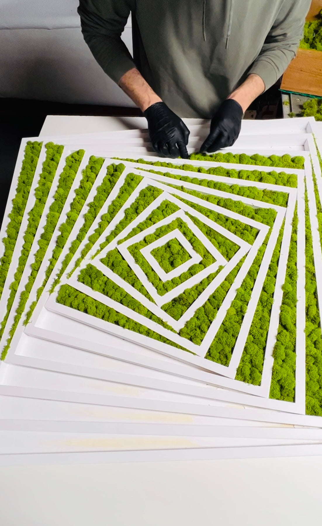 Fibonacci Moss Wall Art Moss wall art by Moss Art Installations