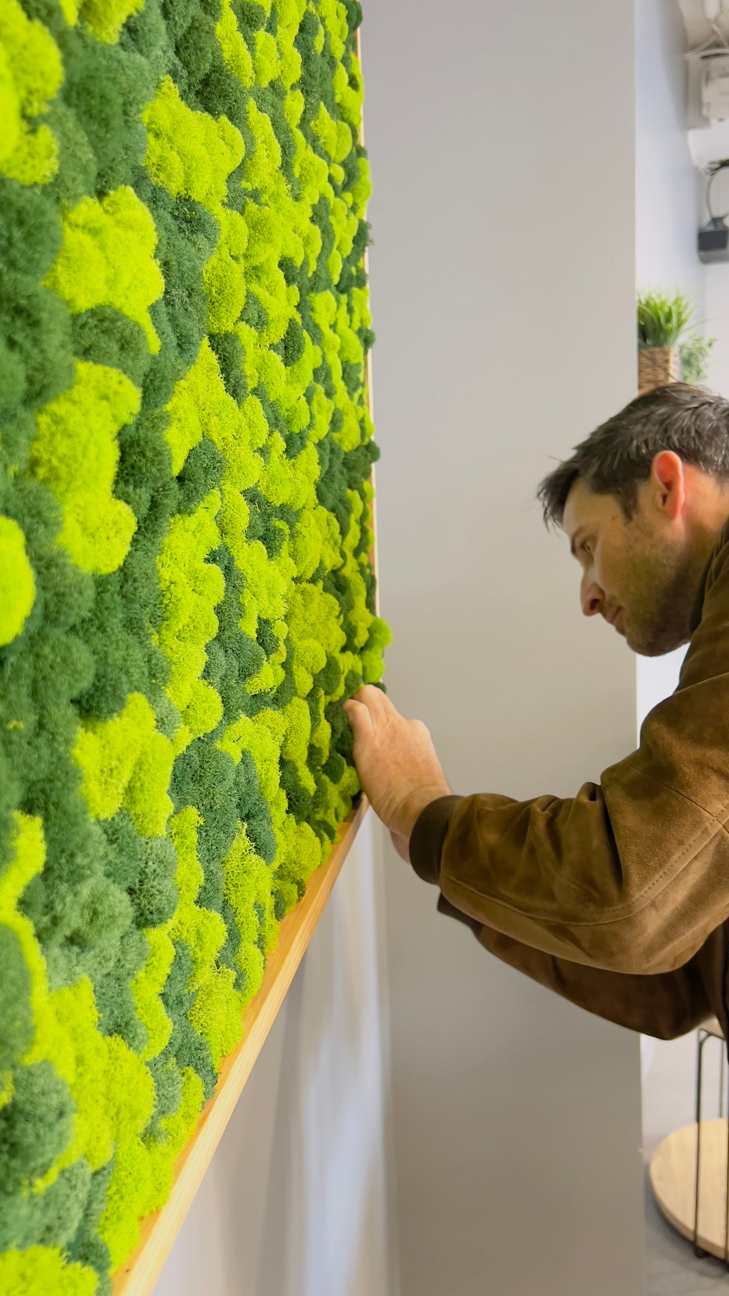 Reindeer Moss Wall