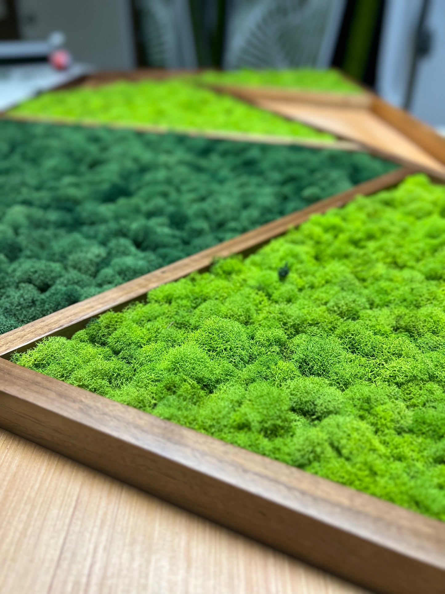 Mid-Century Modern Moss Art