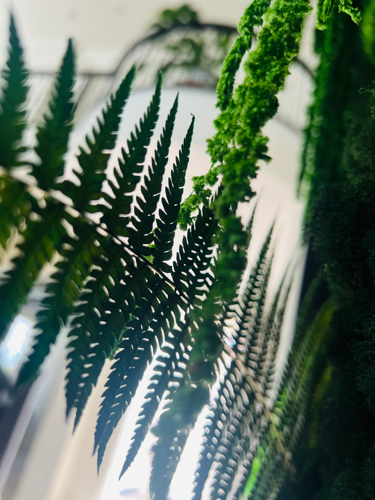 Rainforest Botanical Garden
